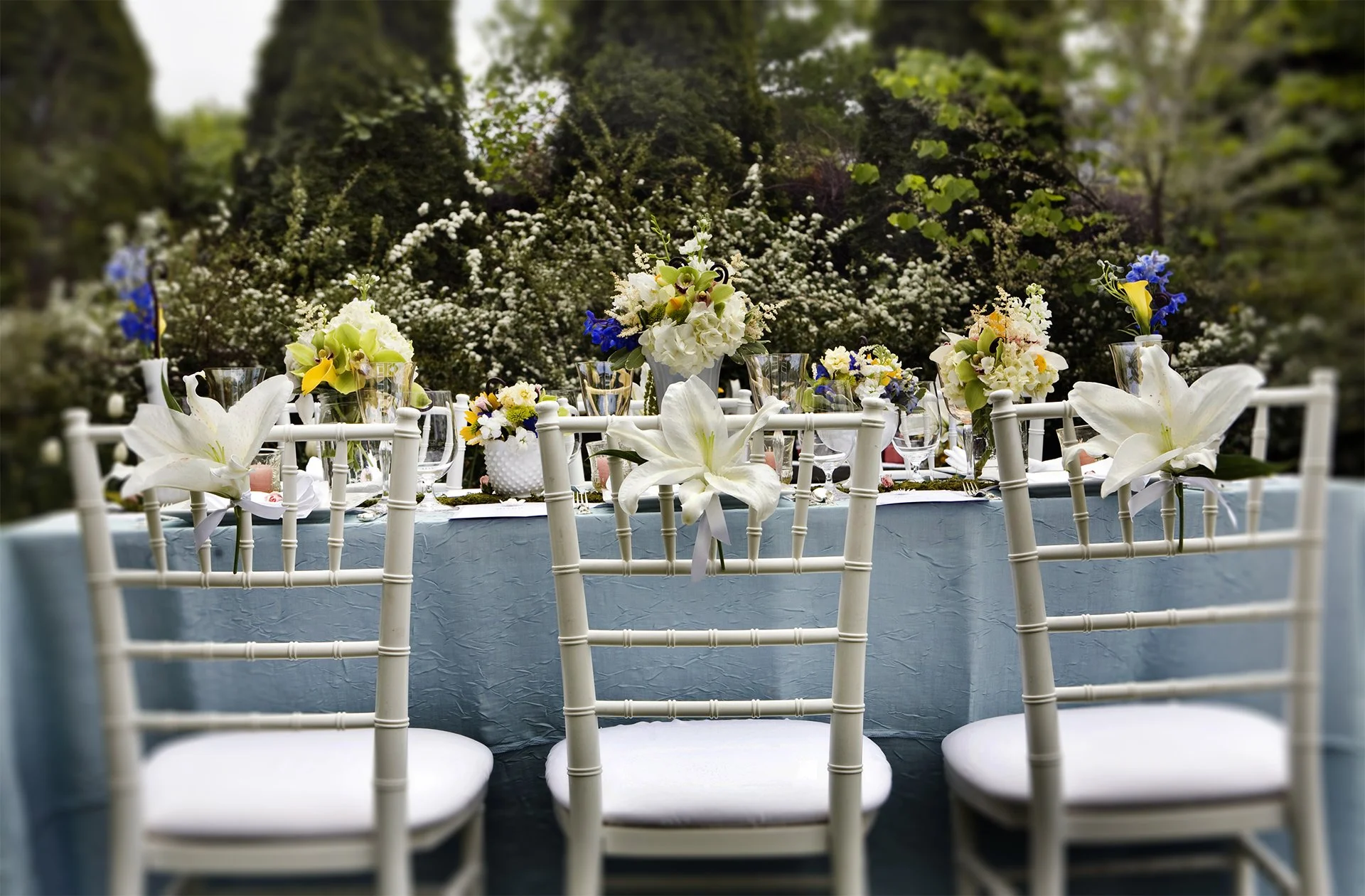 Tiffany AlFresco.jpg