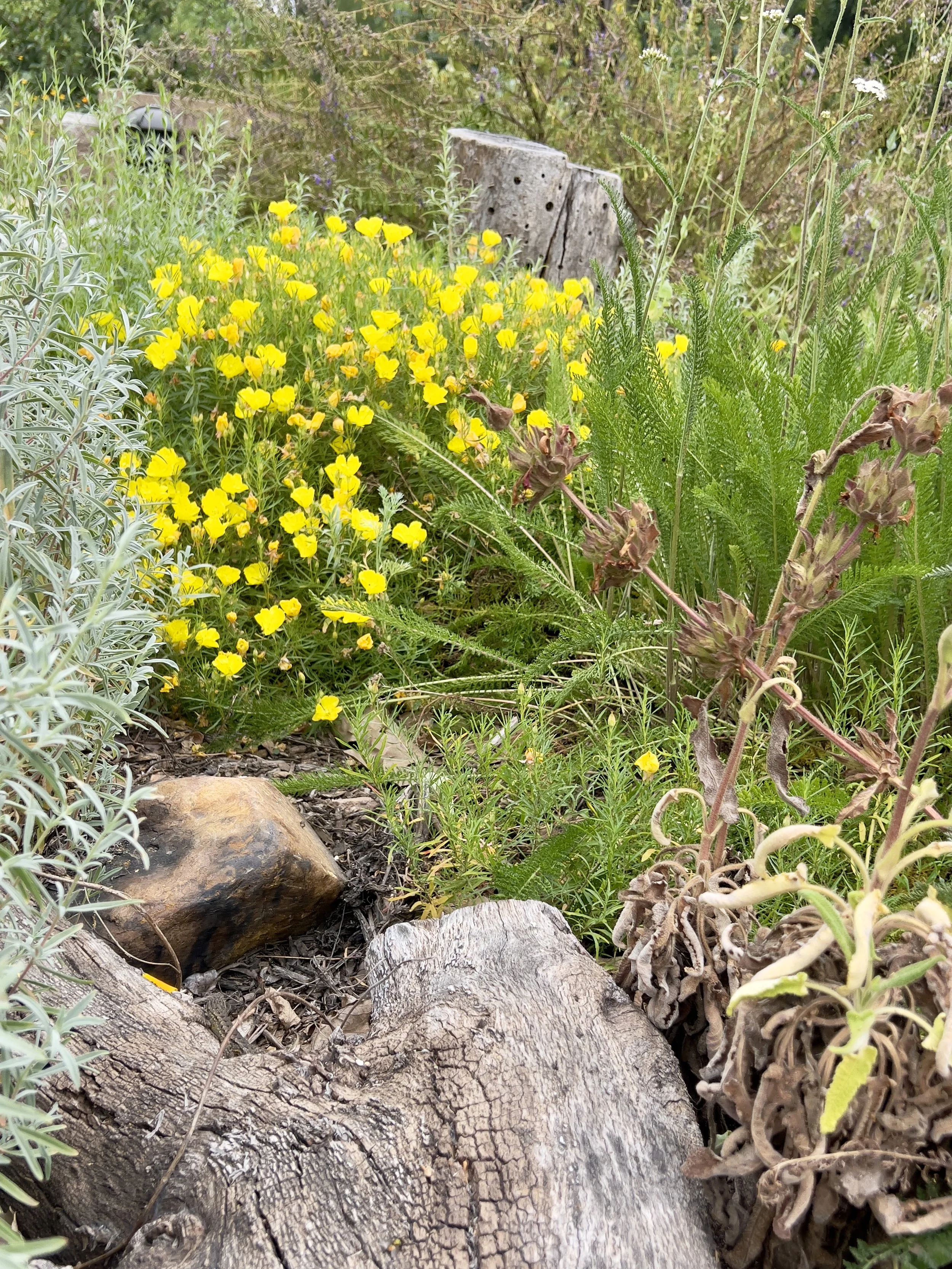 Keep Your Eyes Peeled!