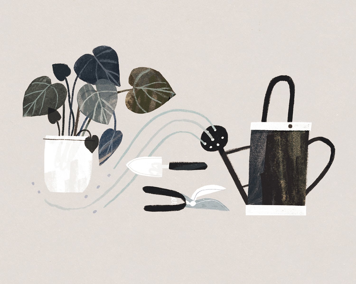 houseplant-gardening-illustration-by-rebecca-santo.jpg