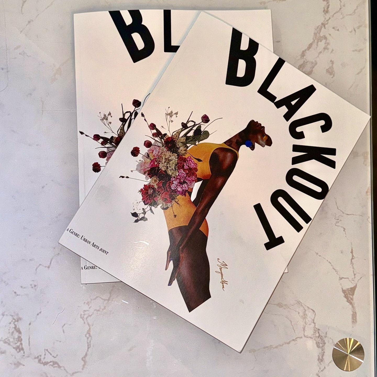 Blackout is a collection of internationally sourced art, creative writing, and critical writing from Black, African, and African diasporic creatives. 

We younger [Black] artists who create now intend to express our individual dark-skinned selves wit