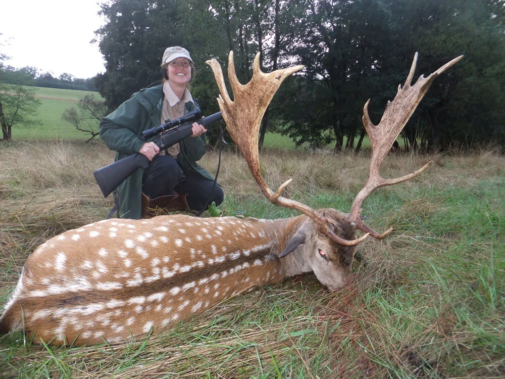 Hunts Europe — Animal Artistry