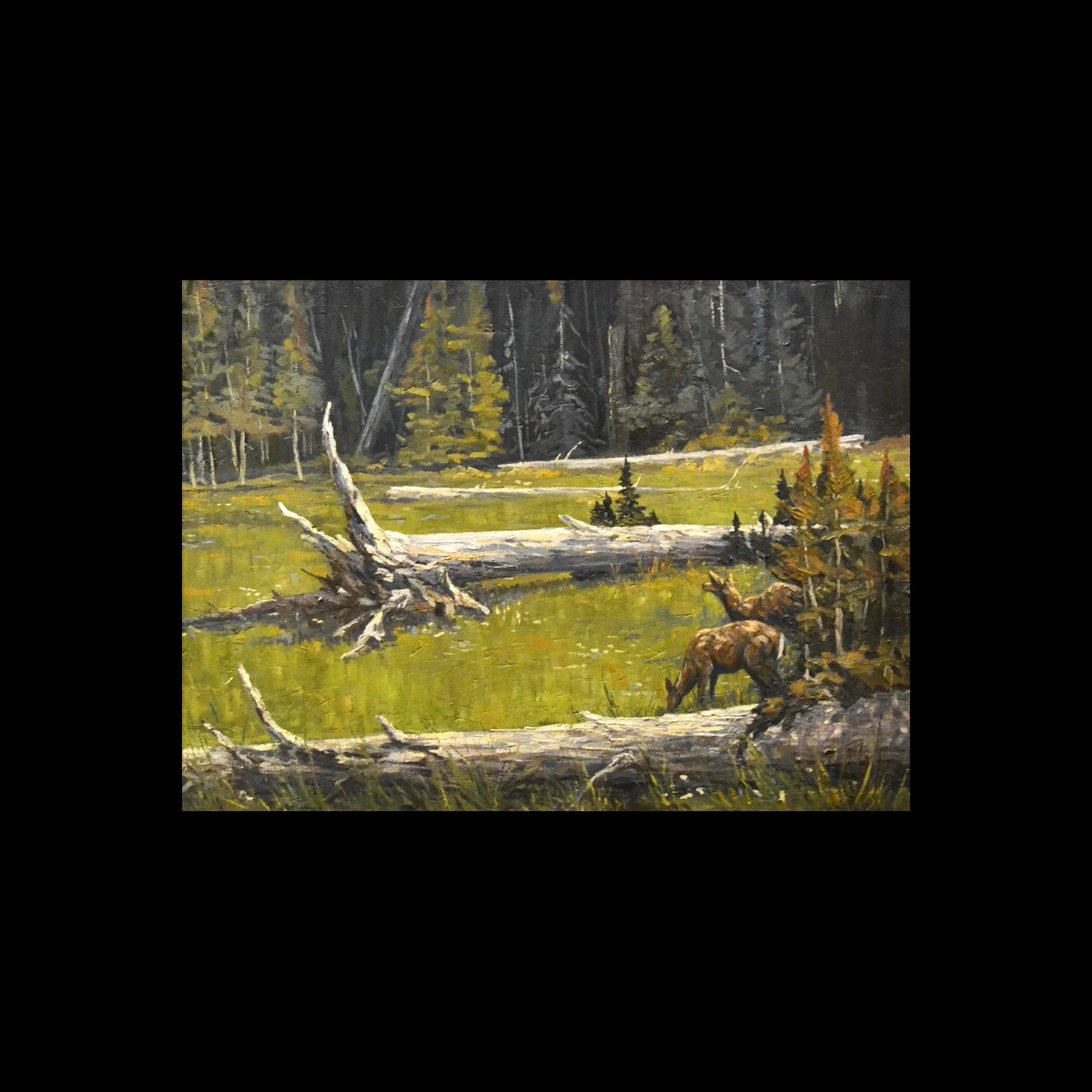 Redwing Blackbird in Cattails Poster Print with Matting — Animal Artistry