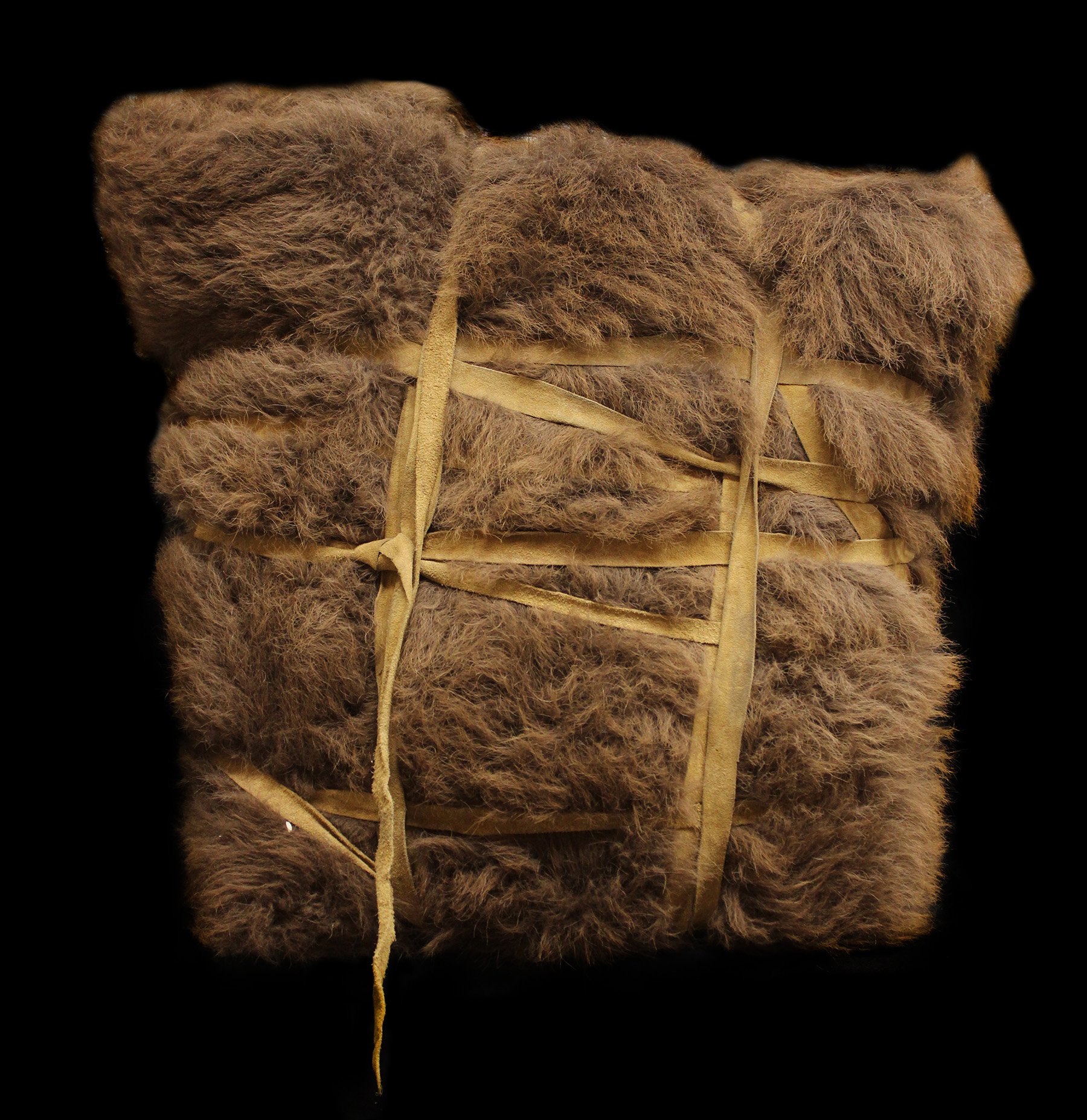 Bison Pack