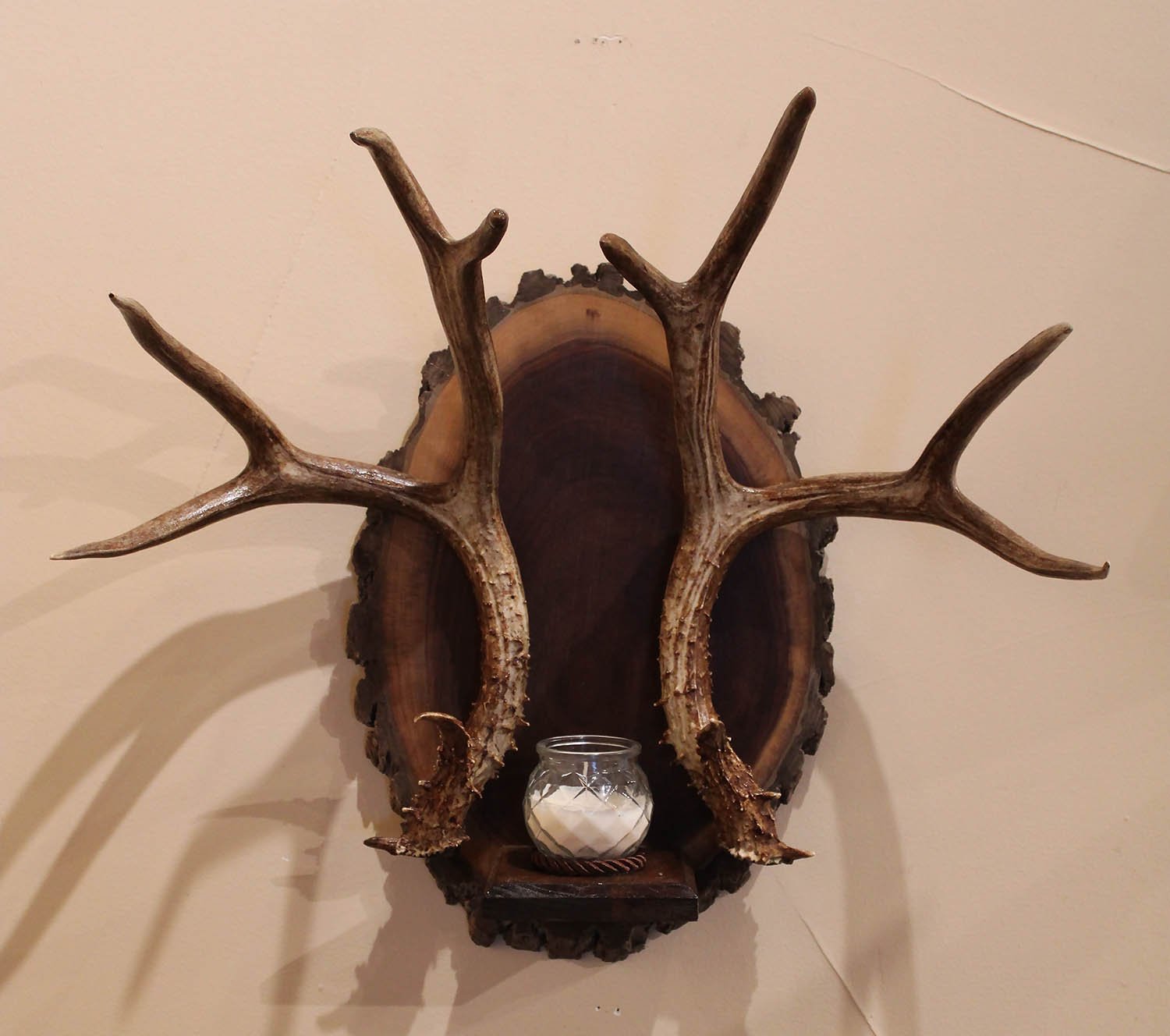 Antler Candle Holder