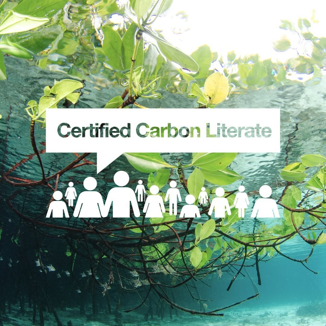 🌿🌍🎓 Understanding carbon emissions and their impact is not just a responsibility; it's a powerful tool for positive change. Congratulations to all our members who recently completed our Carbon Literacy Training at Google UK on their 100% pass rate