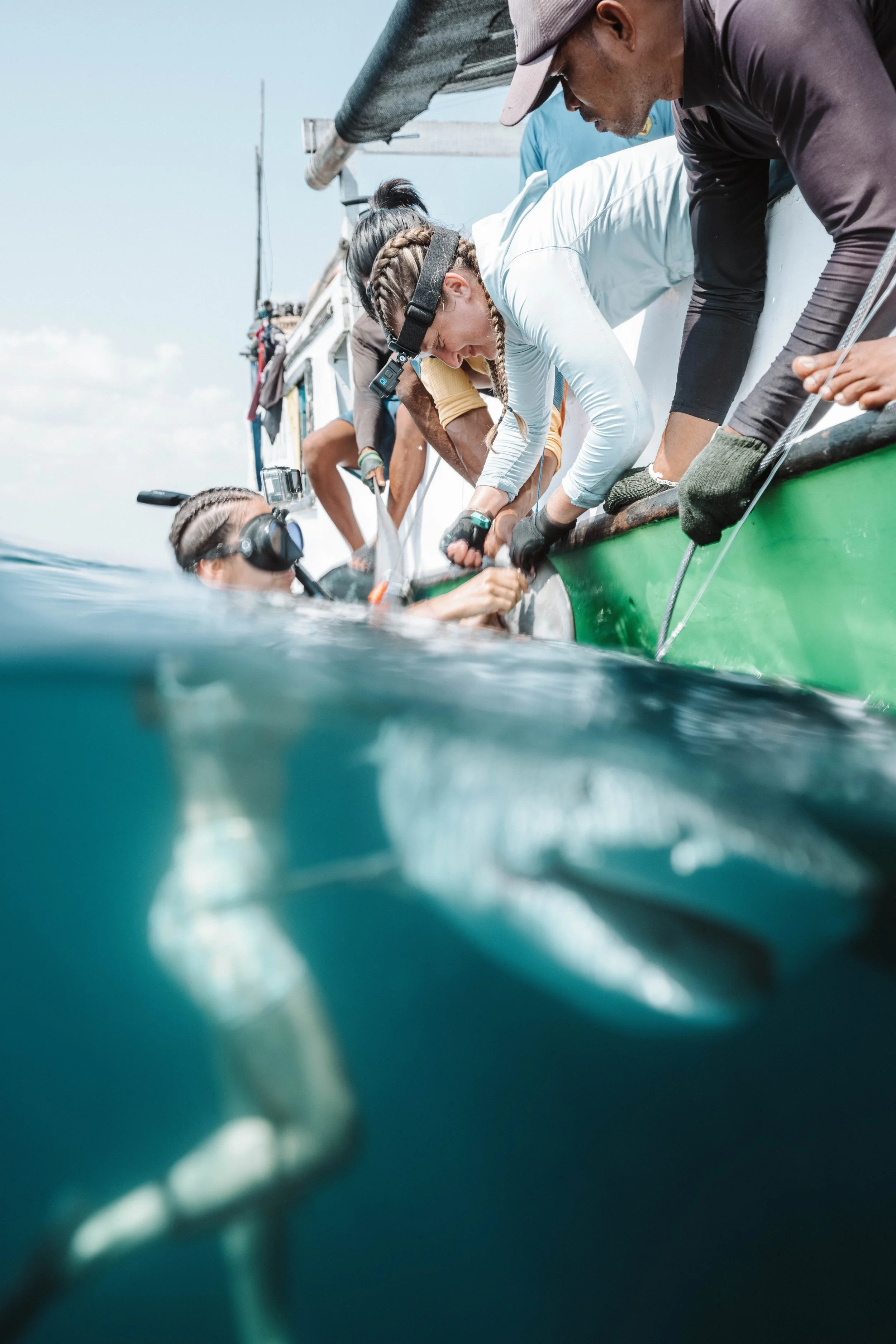Project Hiu: How Lombok’s Fishermen Are Rewriting the Future for Sharks