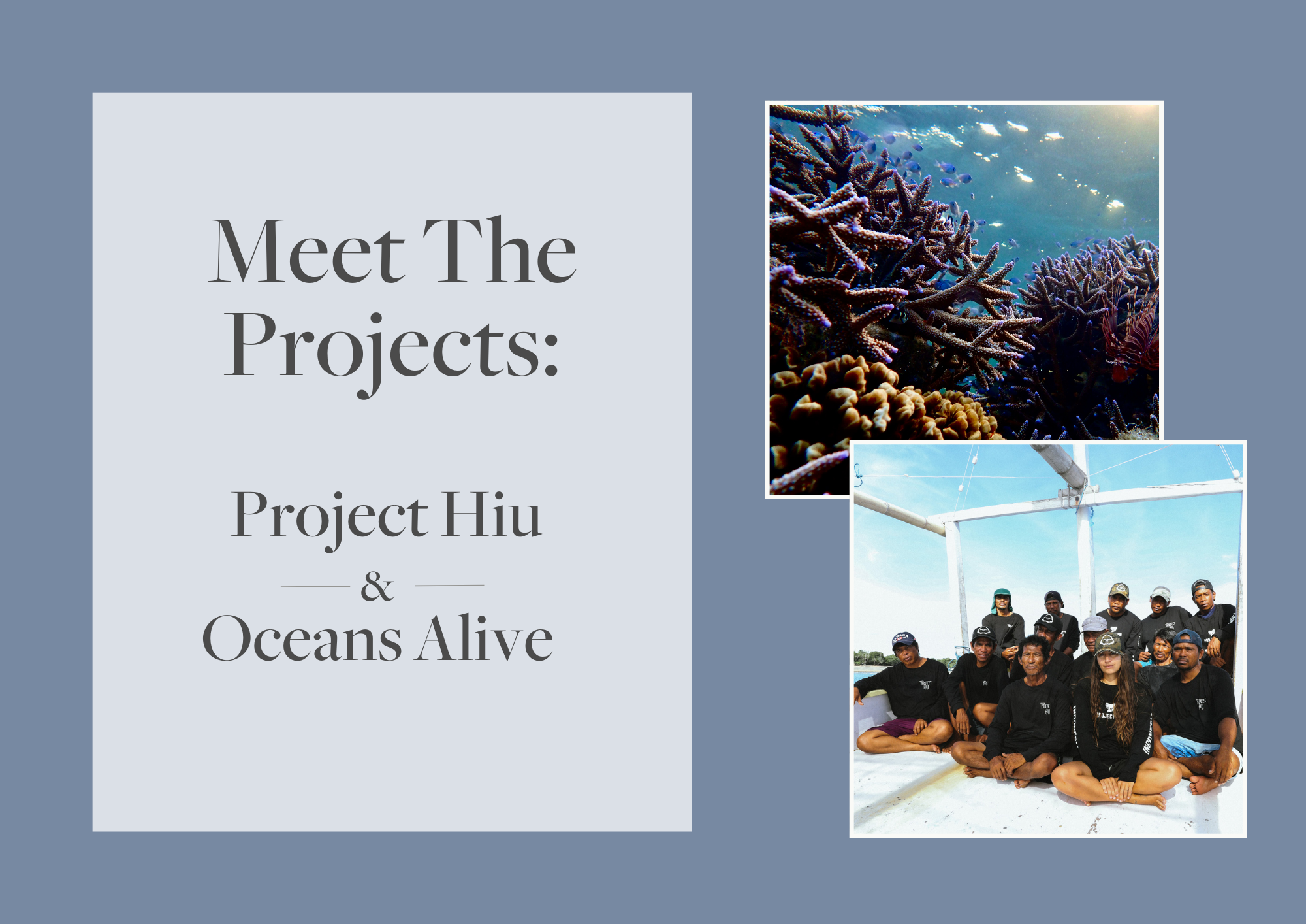 Meet the Projects: Project Hiu &amp; Oceans Alive