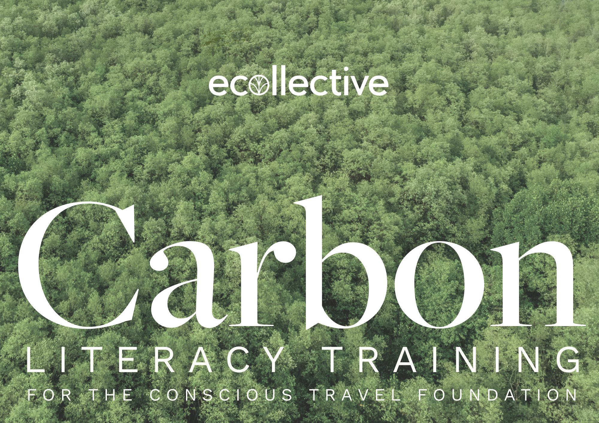 Carbon Literacy Training (Online May 2026)