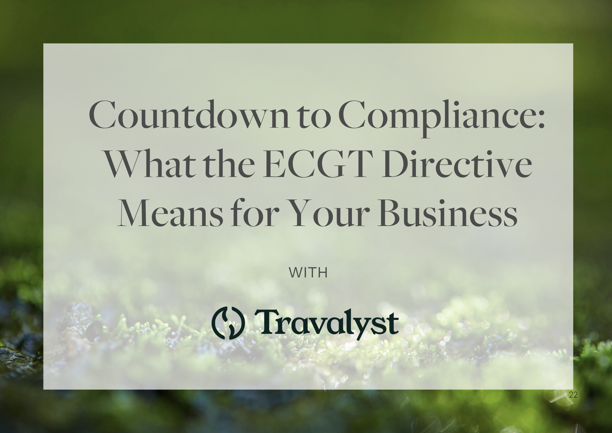 Countdown to Compliance: What the ECGT Directive Means for Your Business