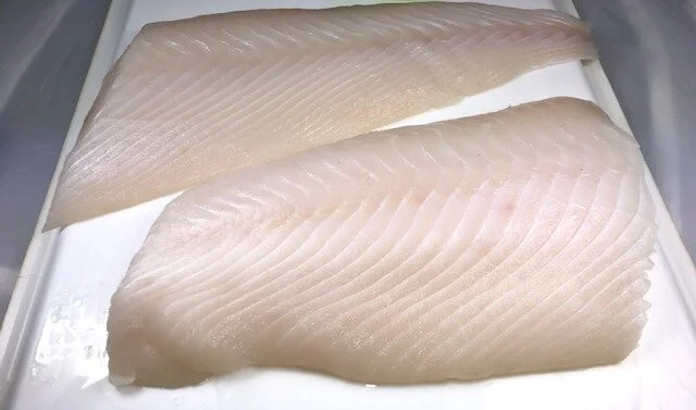 halibut for site.jpg