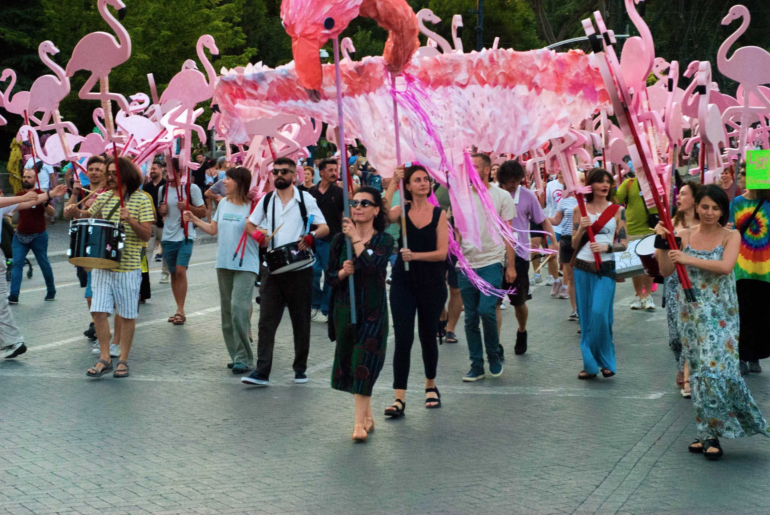 When the Flamingos Descend Upon the City