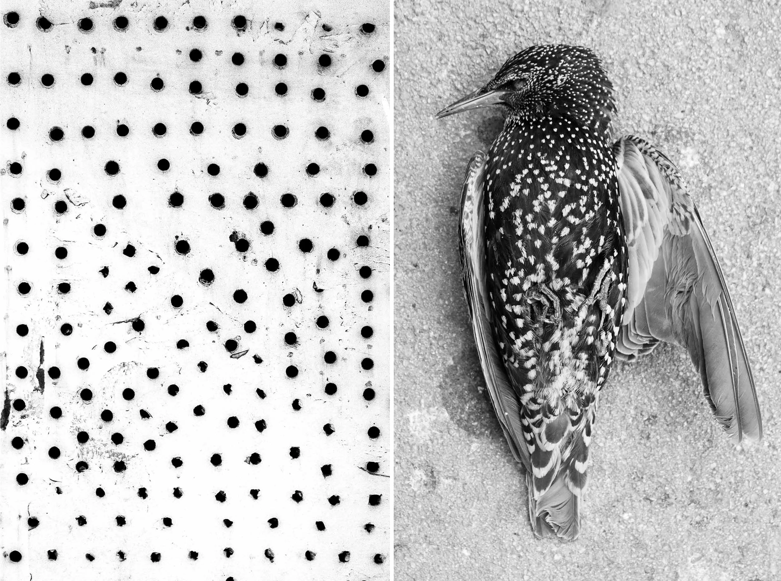 © Olson Lamaj, from the series Between Pattern and Shadow