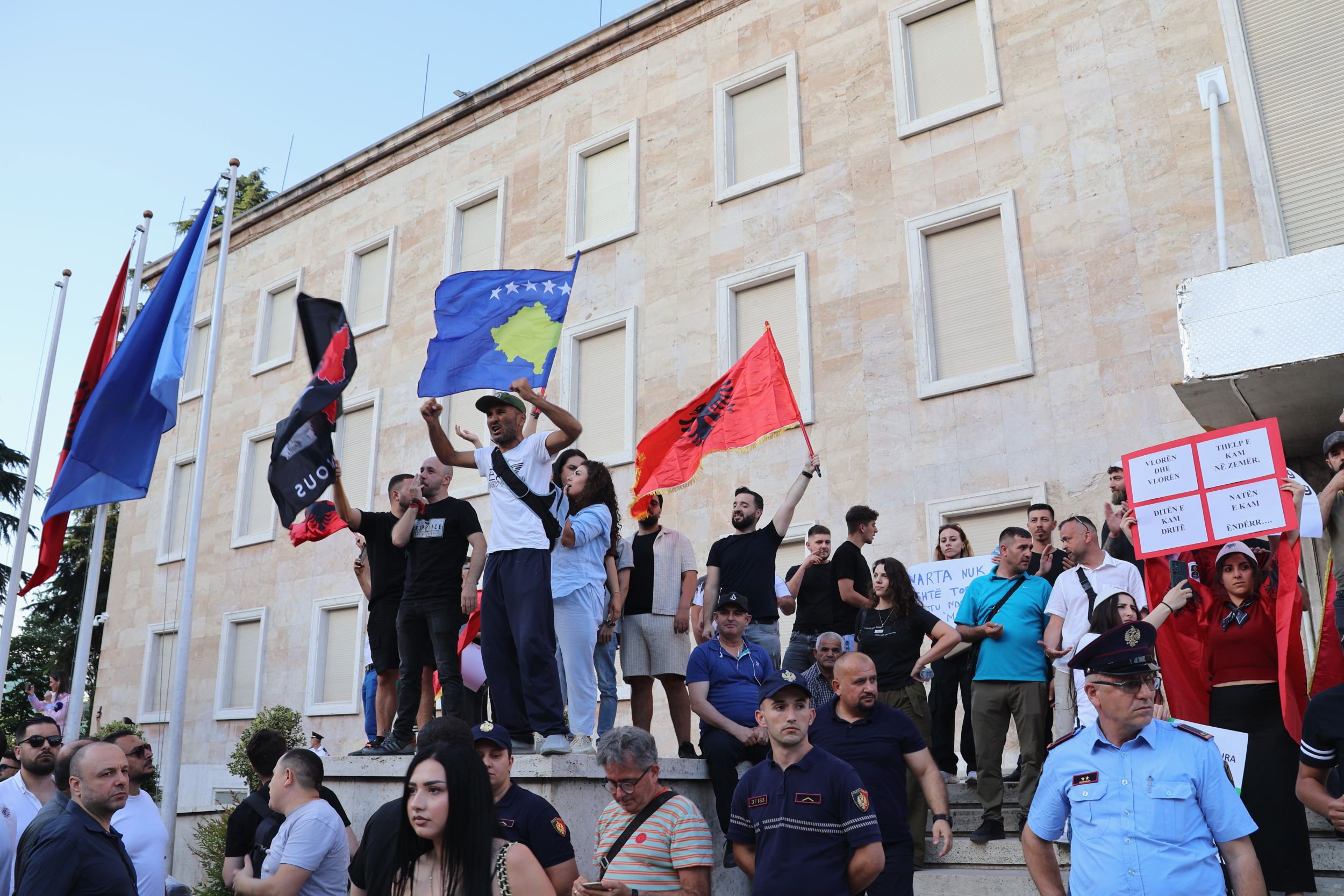 megi bega, flamingo revolution protest
