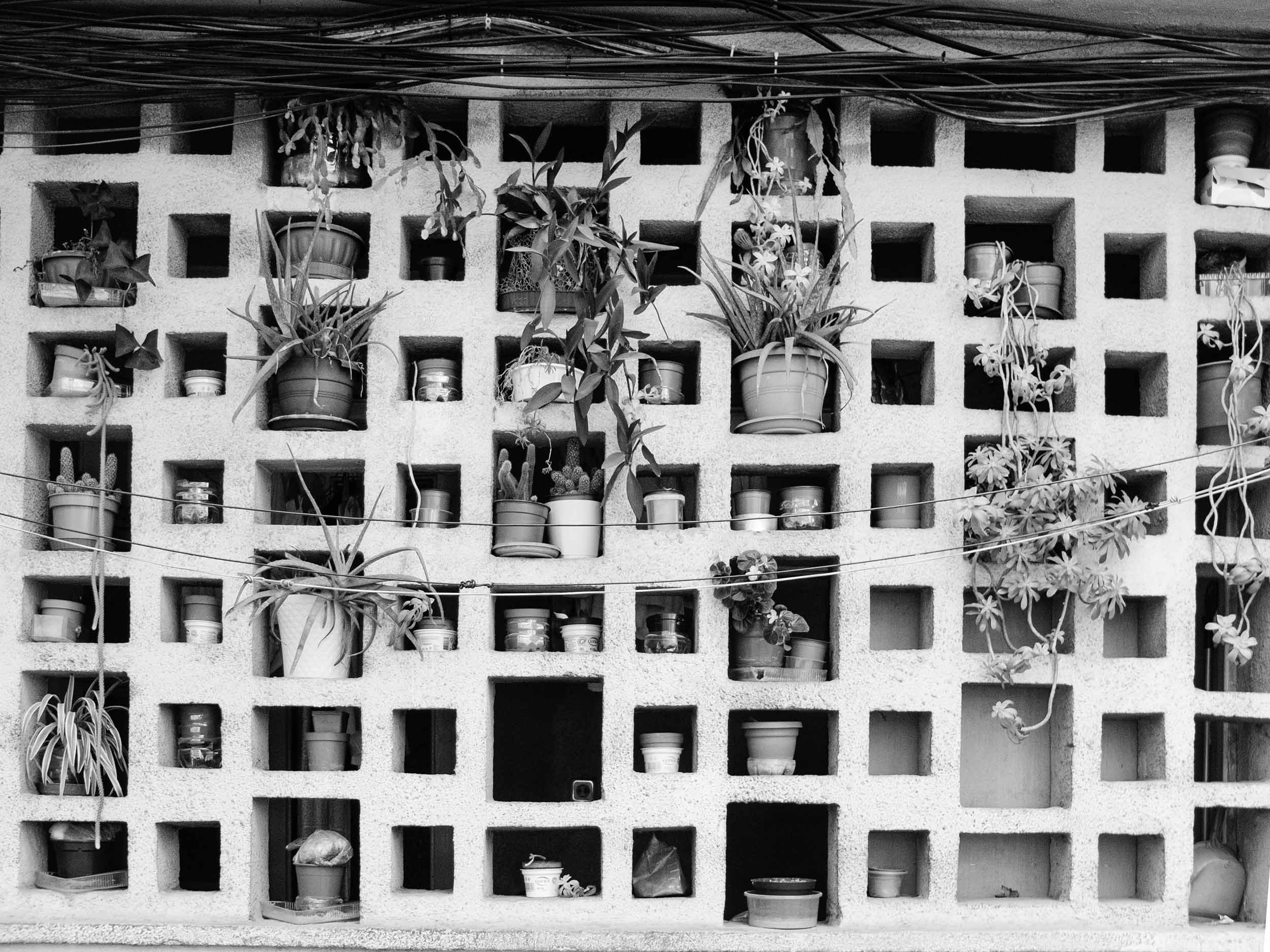 © Olson Lamaj, from the series Between Pattern and Shadow