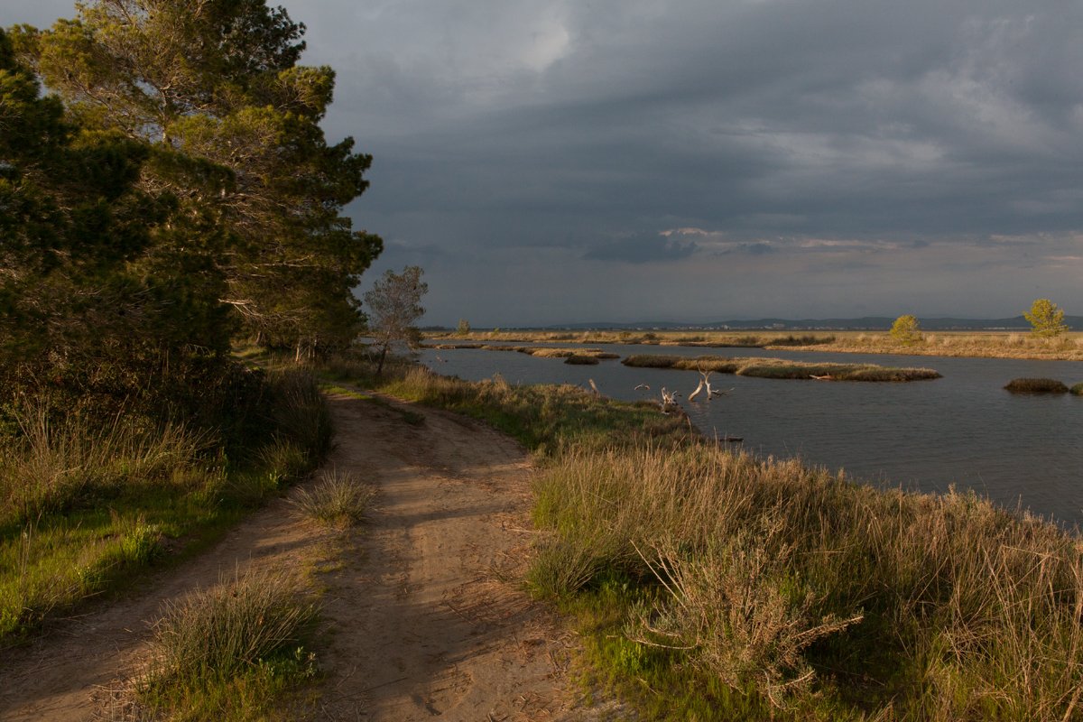 Laguna e Karavastasë brenda Parkut Kombëtar Divjakë-Karavasta, © Alketa Misja