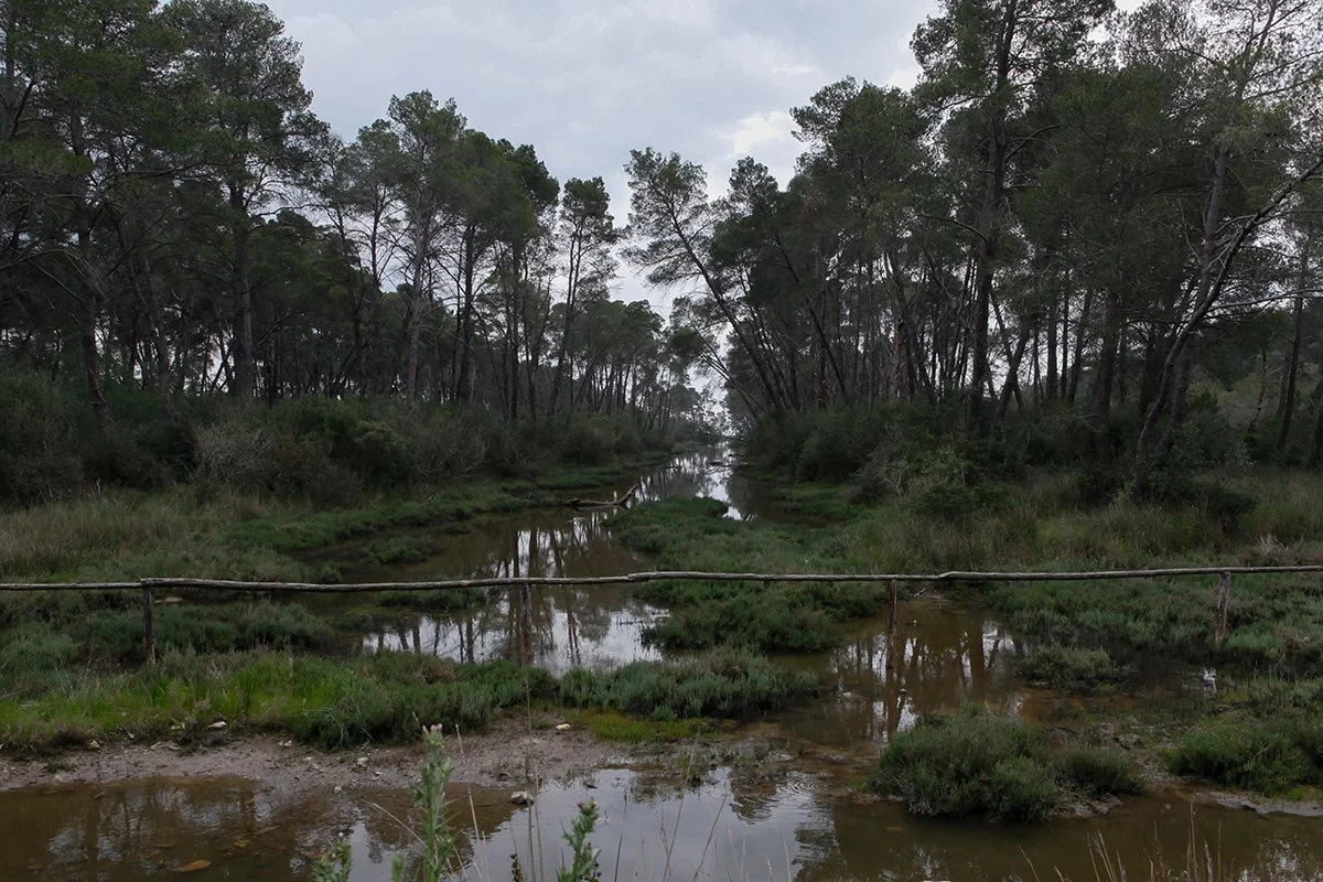 Laguna e Karavastasë brenda Parkut Kombëtar Divjakë-Karavasta, © Alketa Misja