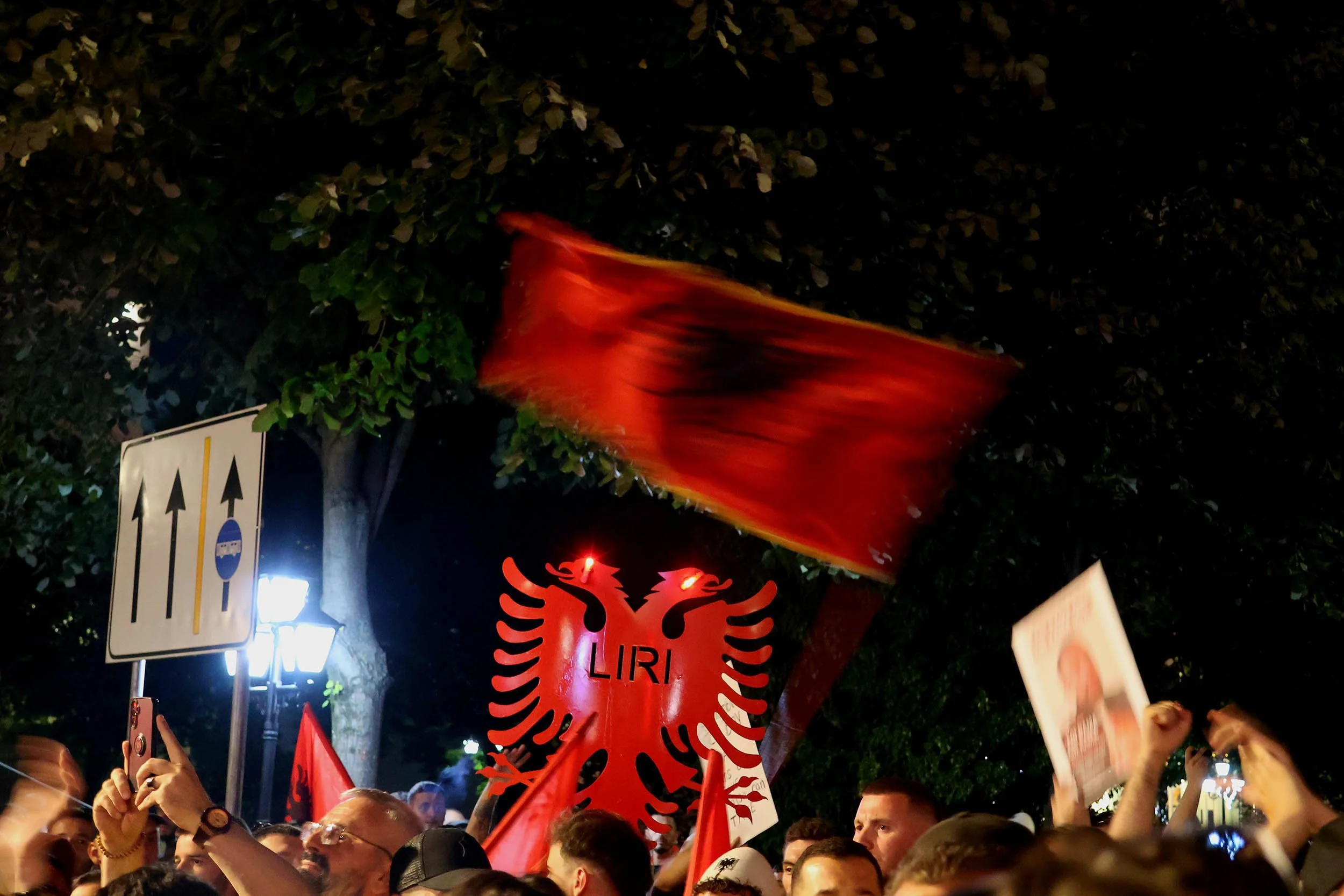 © megi bega, flamingo revolution night
