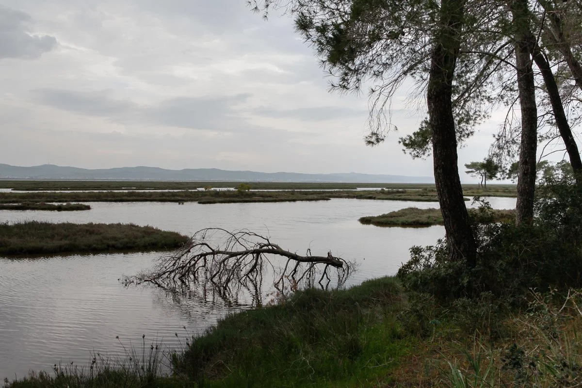 Laguna e Karavastasë brenda Parkut Kombëtar Divjakë-Karavasta, © Alketa Misja