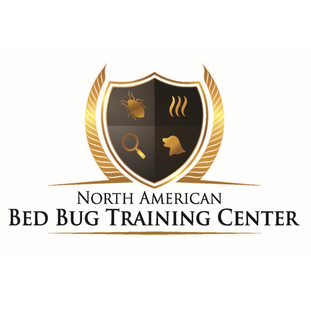 Training+Logo+sq.jpg