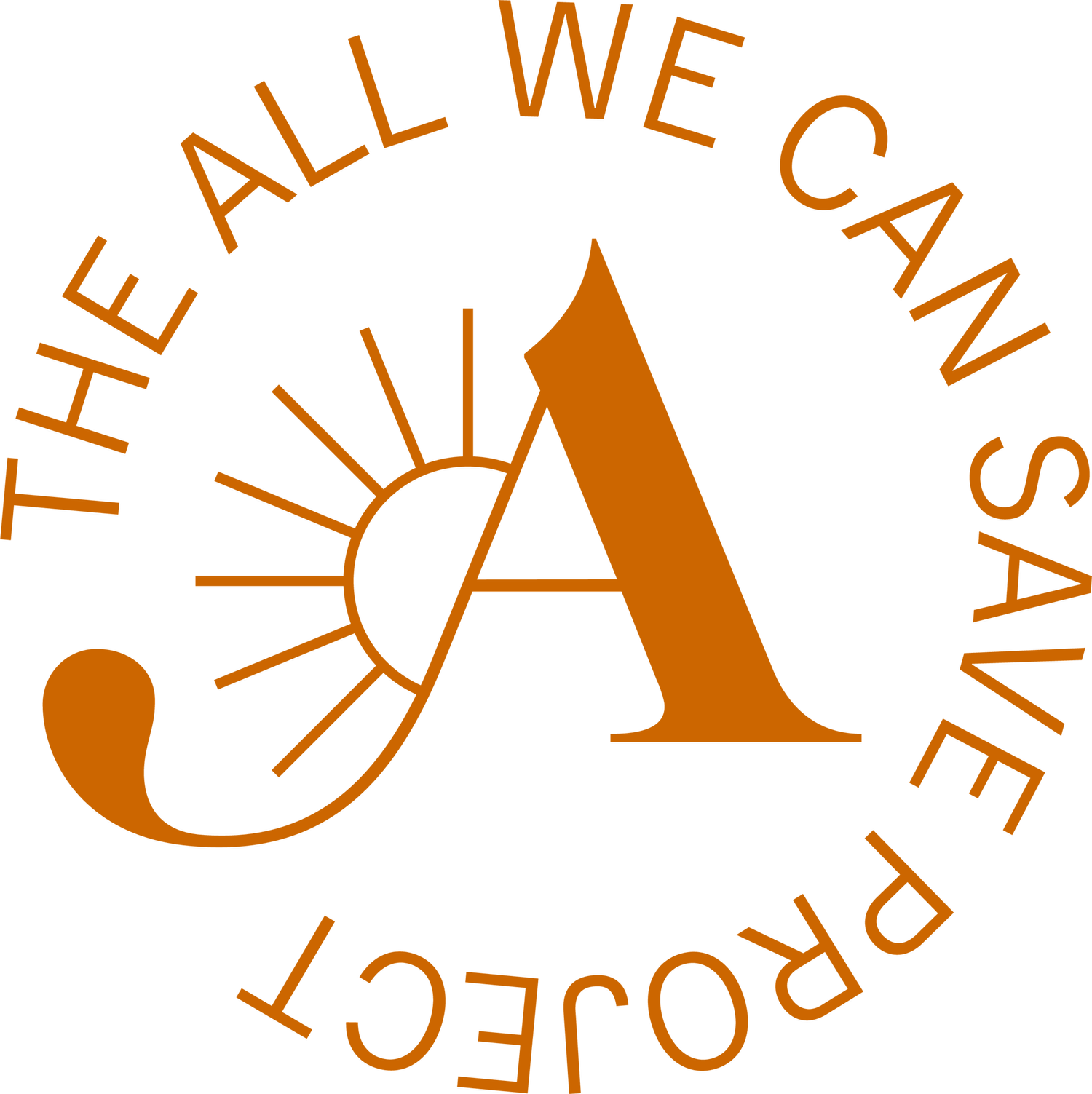 The All We Can Save Project