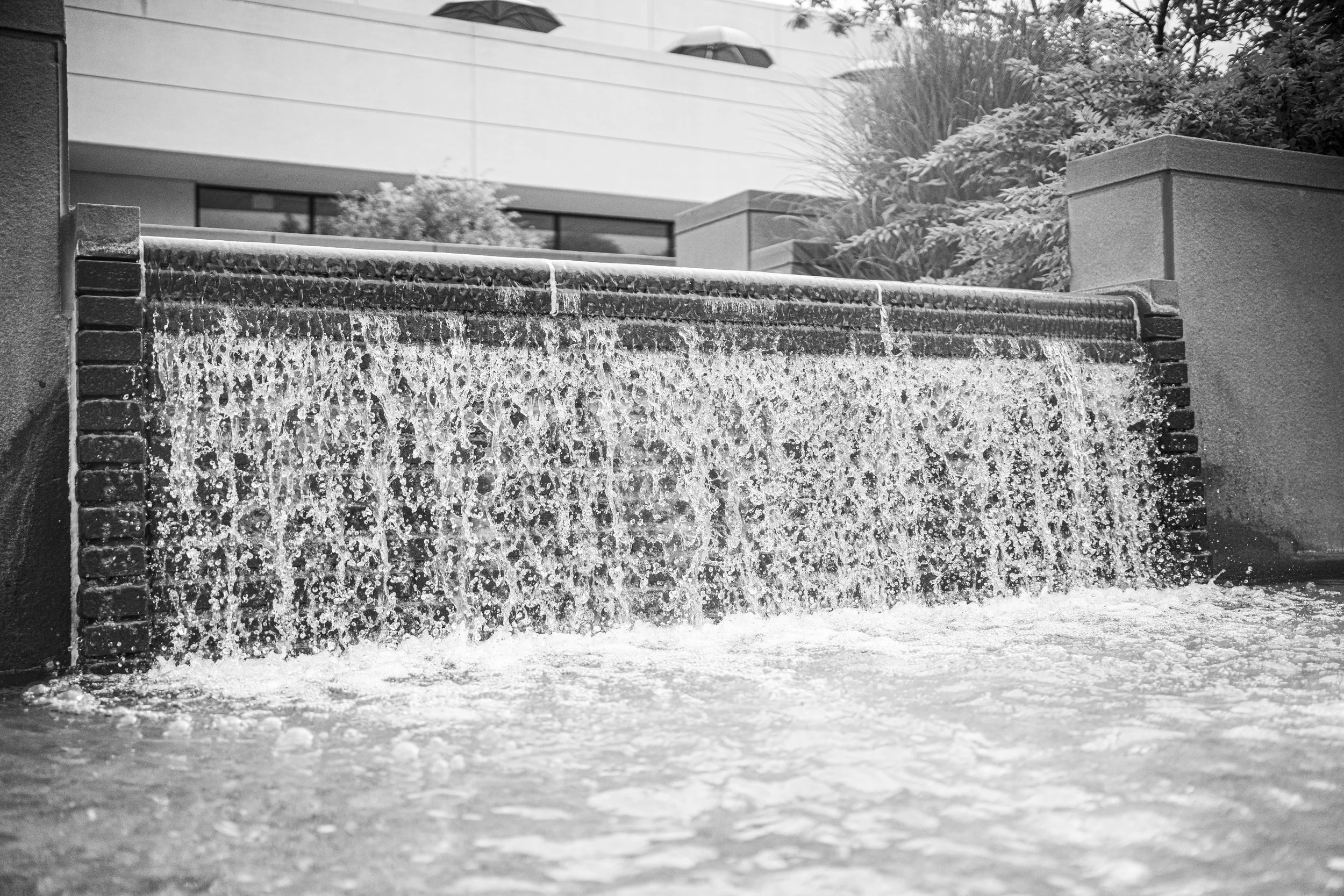 Grayson Rupp (American University, Fall 2025)