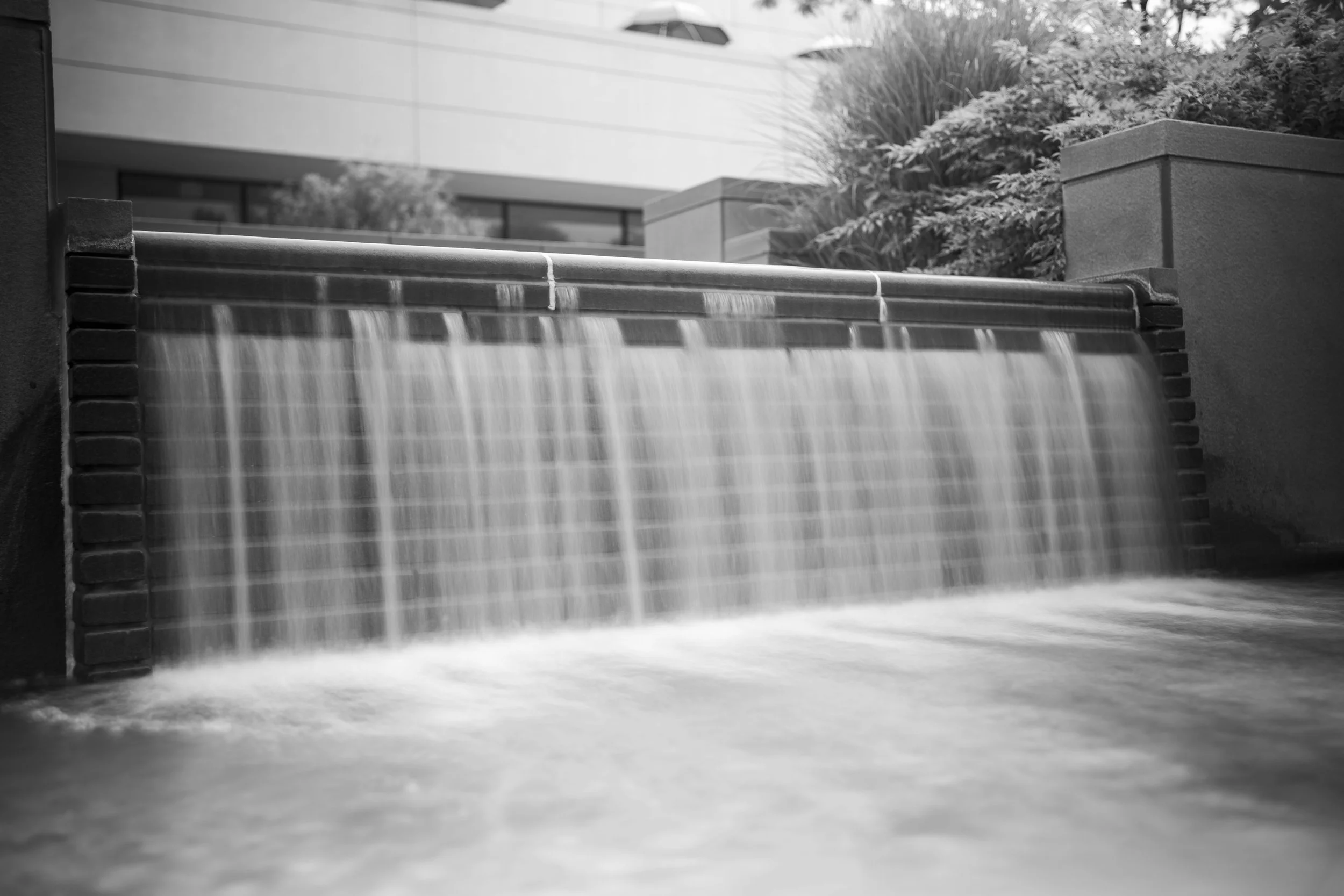 Grayson Rupp (American University, Fall 2025)