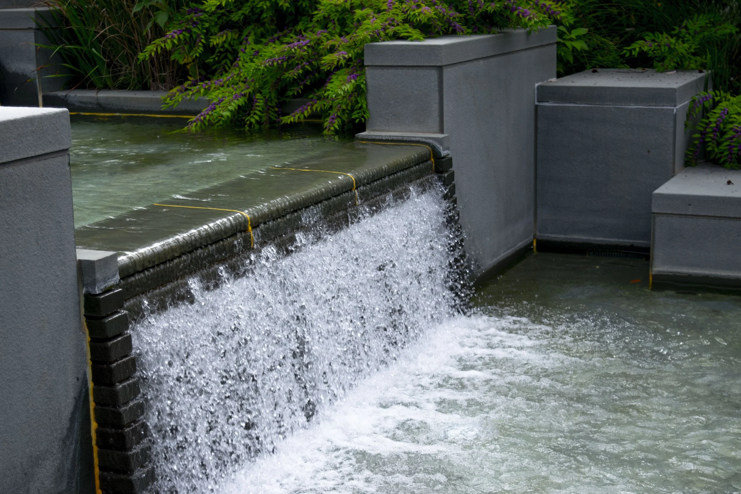 Fozzy Soccah (American University, Fall 2025)