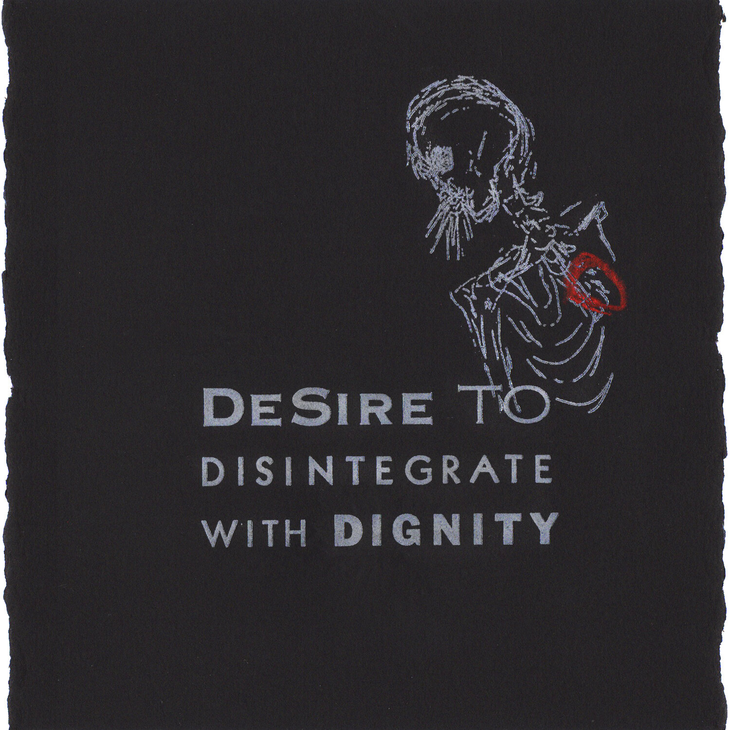Desire to Disintegrate with Dignity (cover)