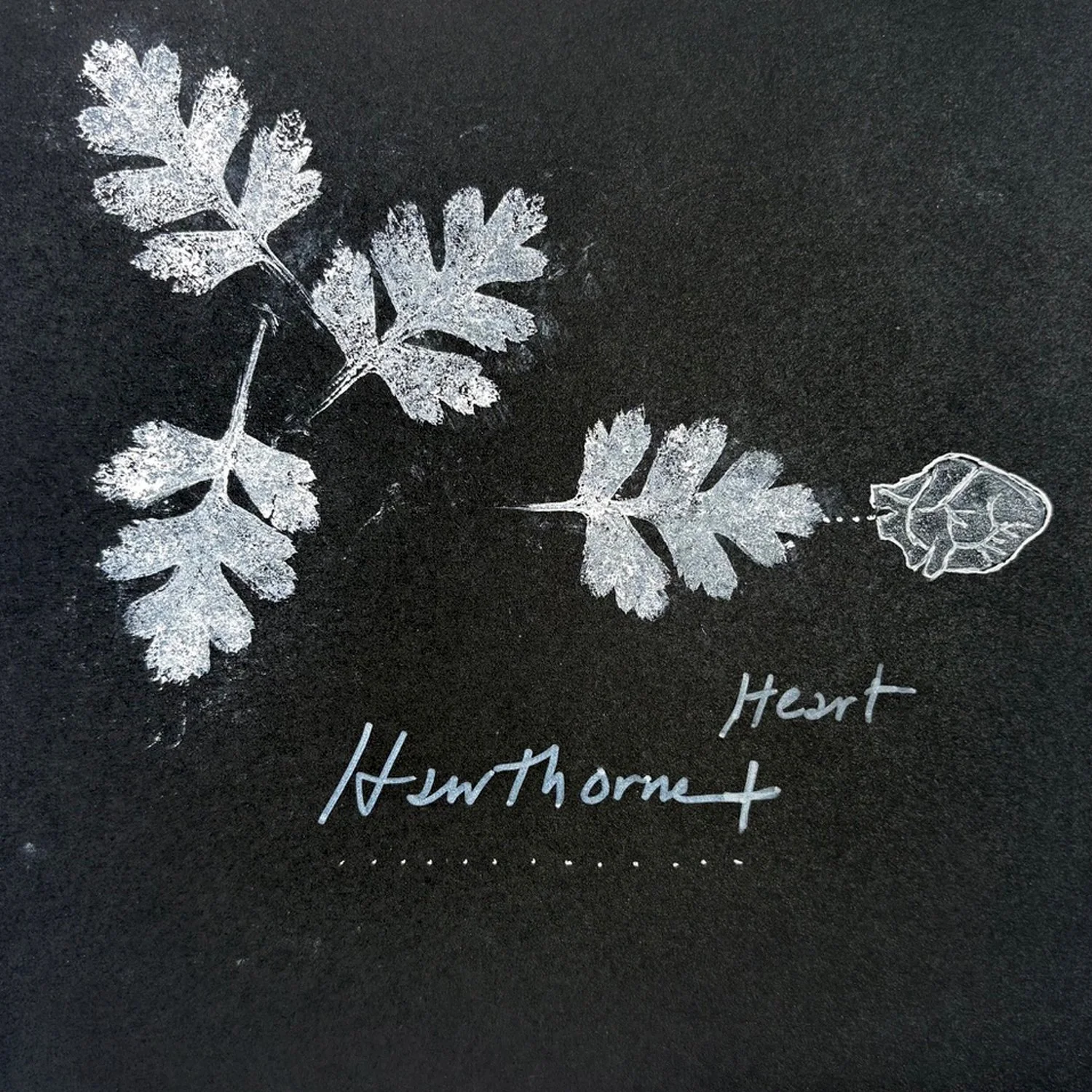 Follow Your Heart