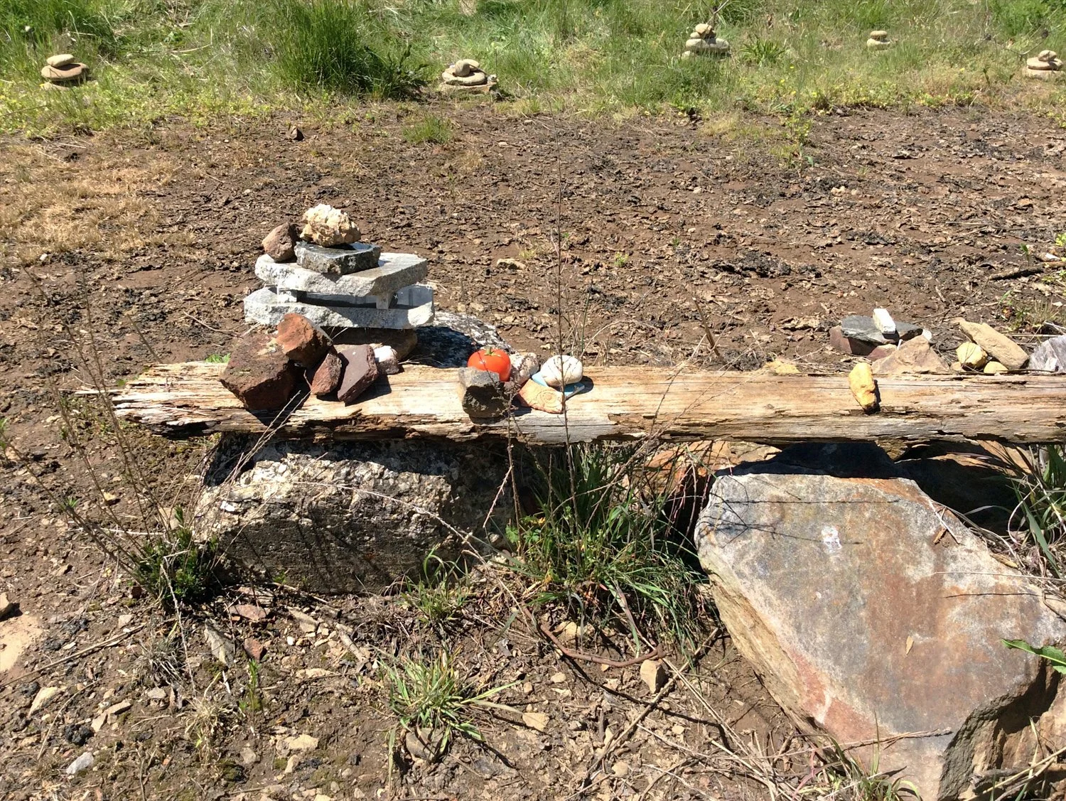 Beltane (May 1) Altar 