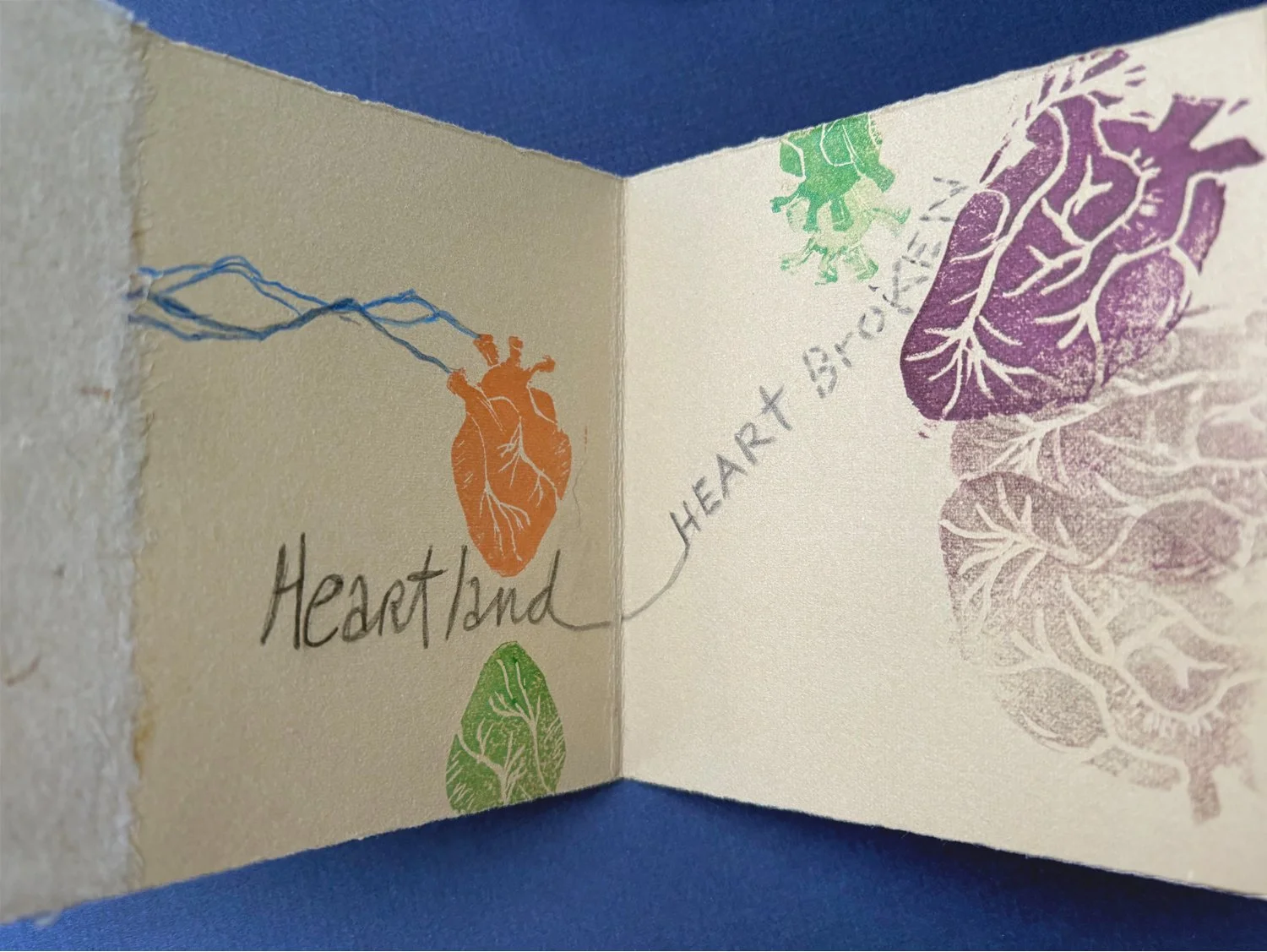 A-Big-Heart-13.jpg