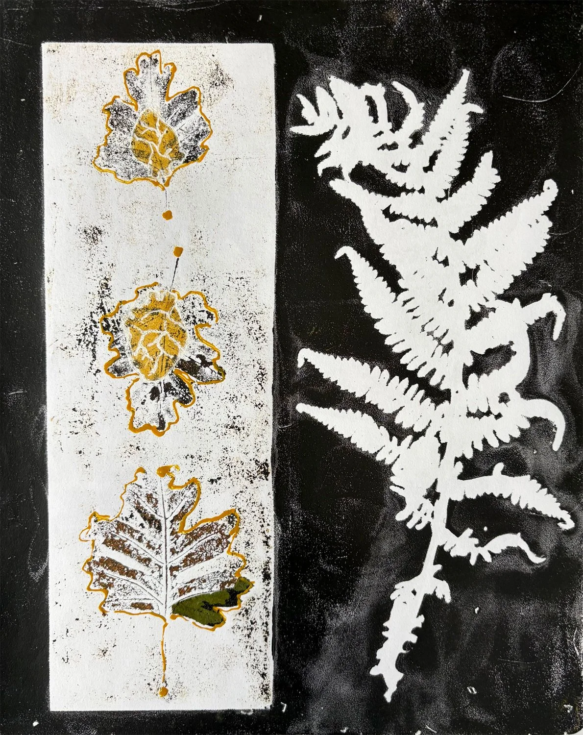 Flying Fern Heart