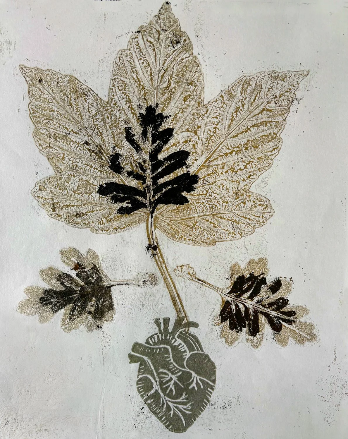 Heart Root