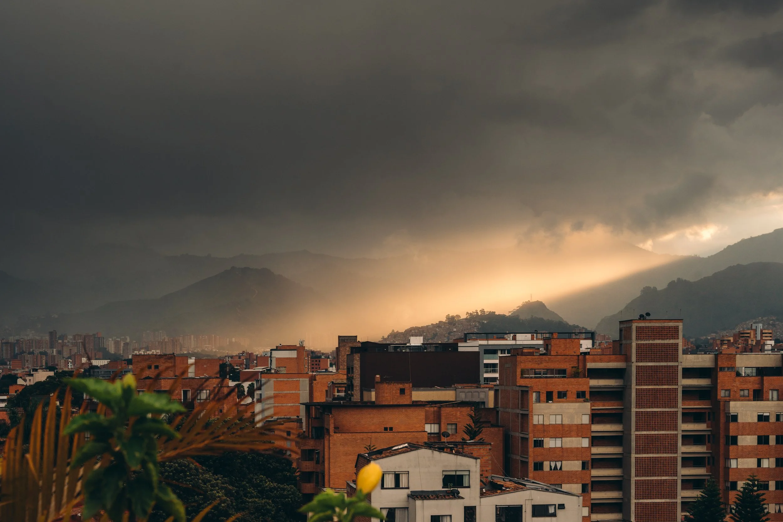 Medellin - Gek Licht-2.jpg