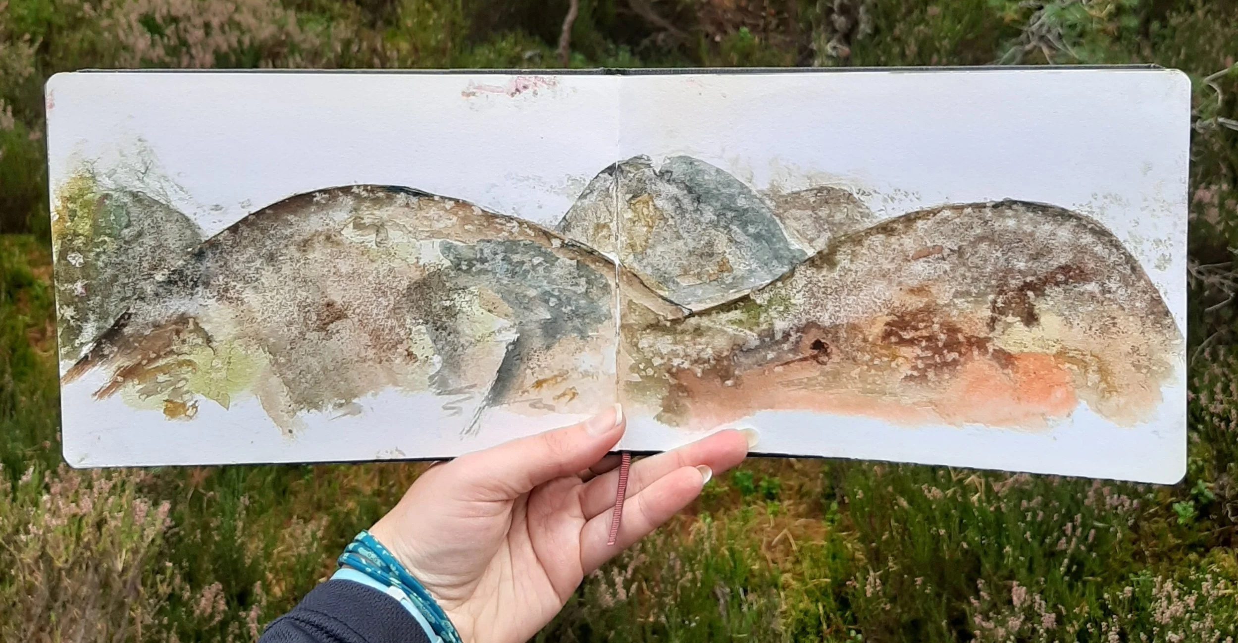 Heather habitat in the background with a hand holding a sketchbook open at watercolour painting of hills.  
