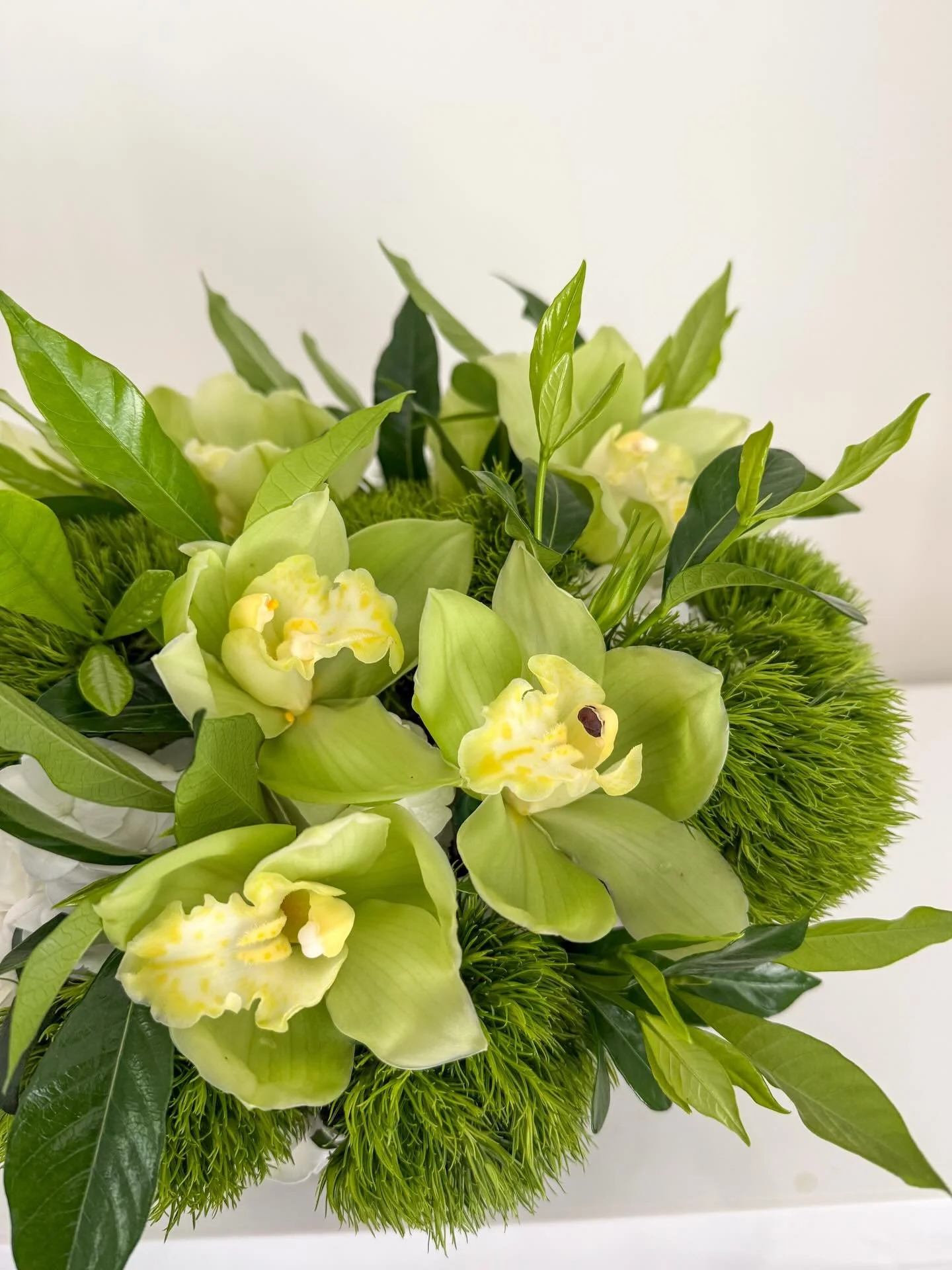 If St. Patrick&rsquo;s Day was a floral arrangement&hellip; 🍀