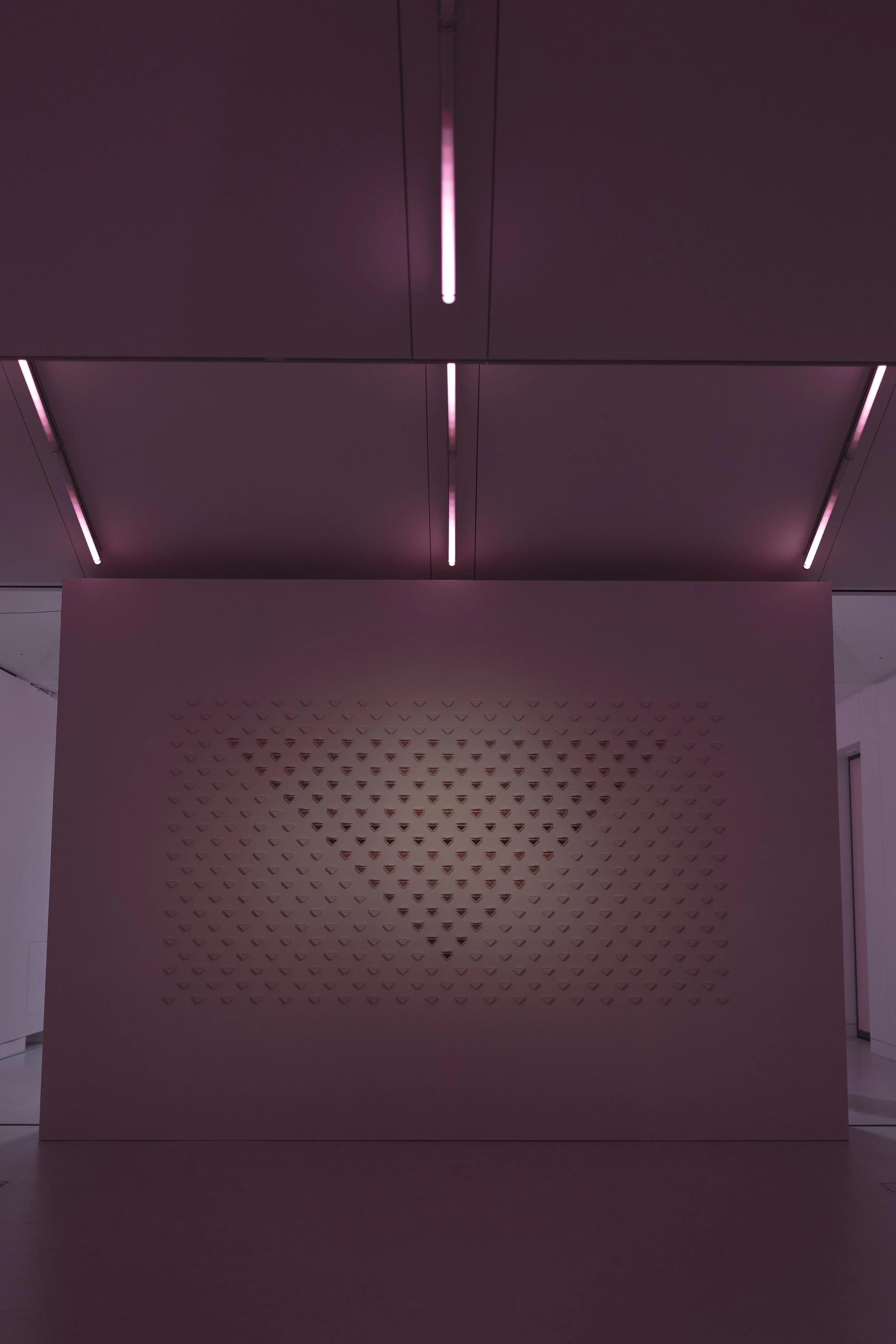 4I7A6619.JPG
