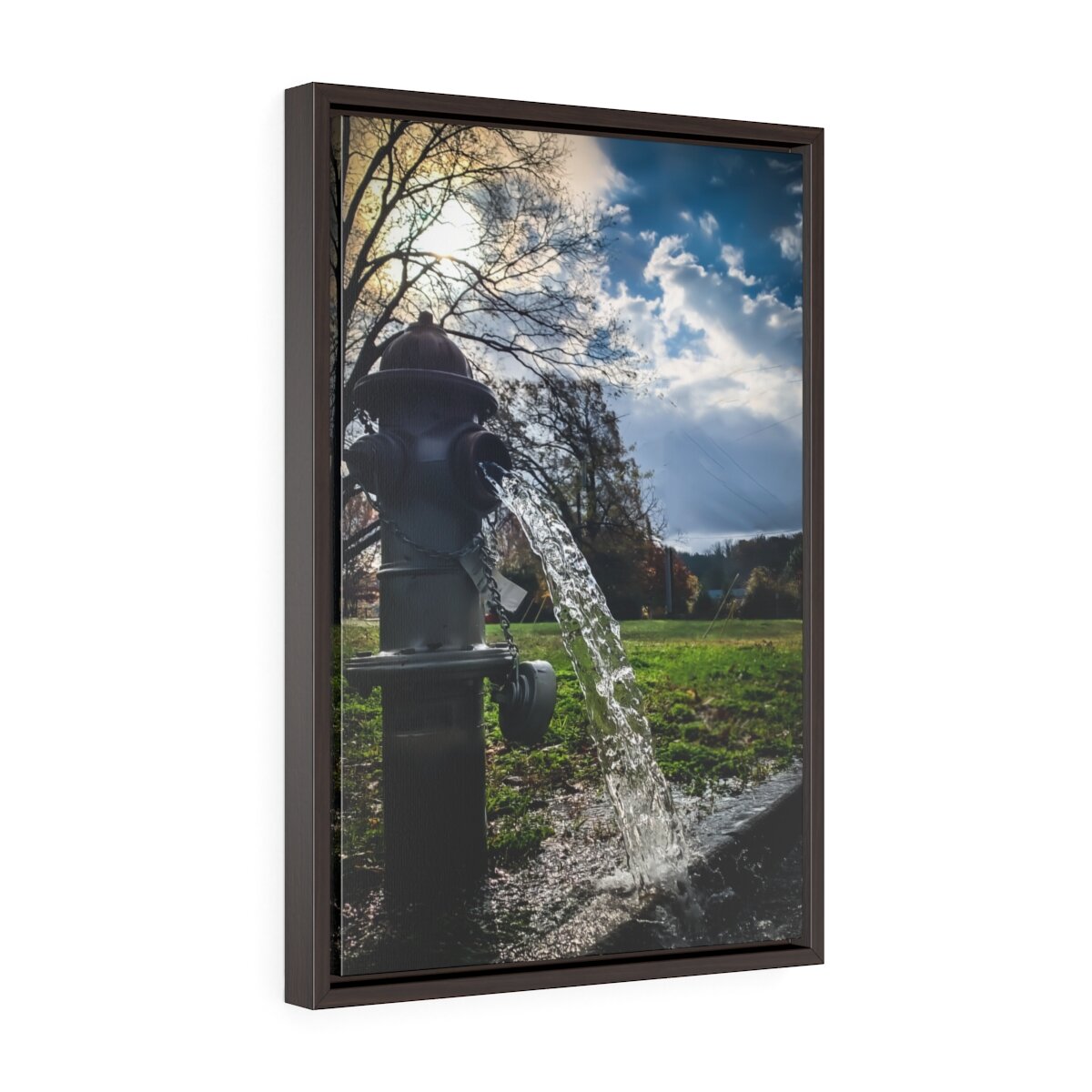 Fountain Of.......... Framed Canvas