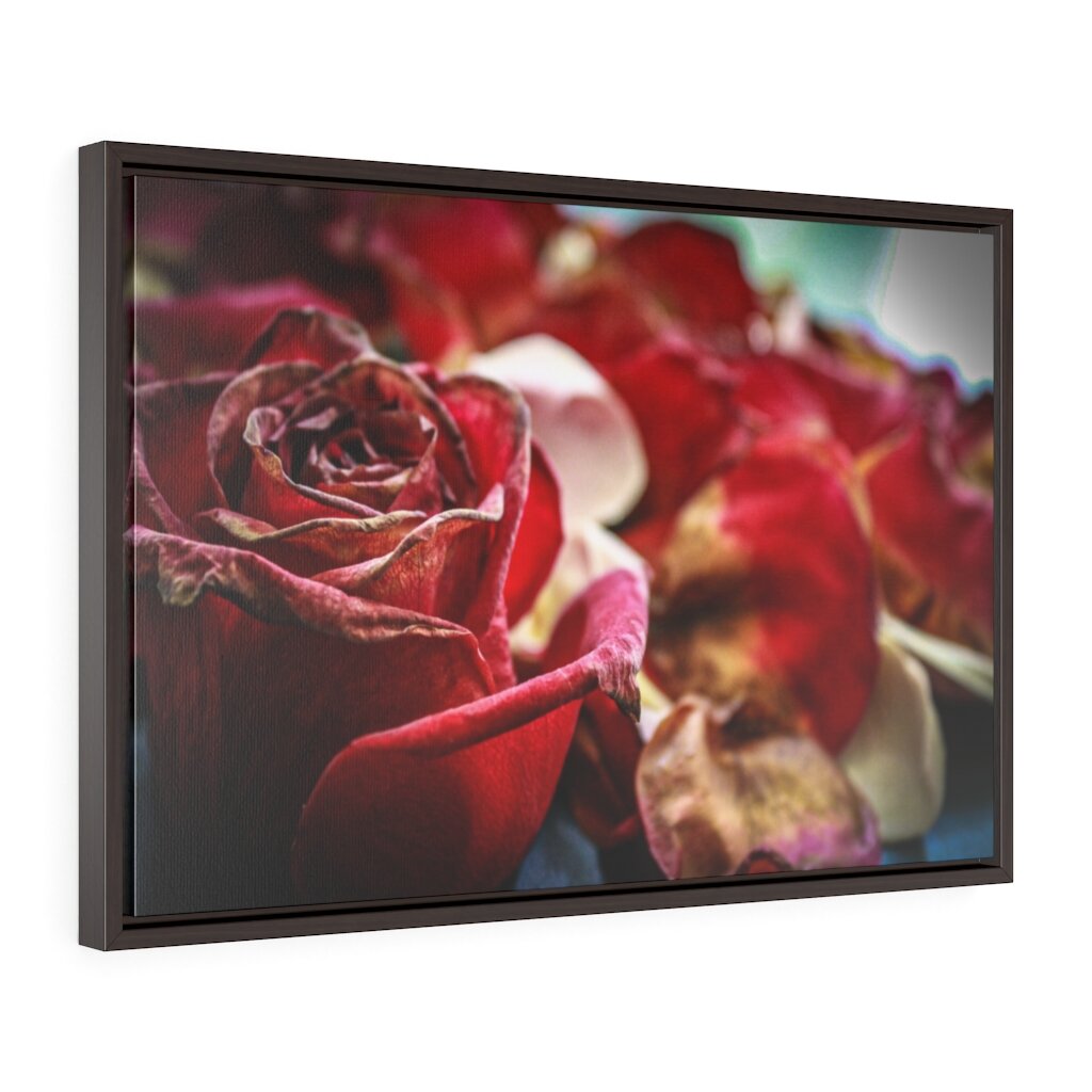 A Bed of Roses Canvas