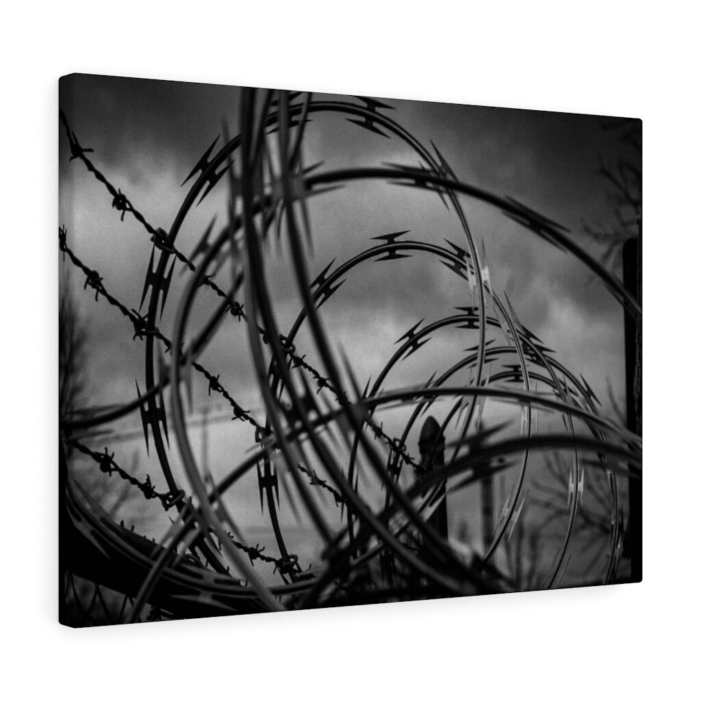 Fighter Canvas