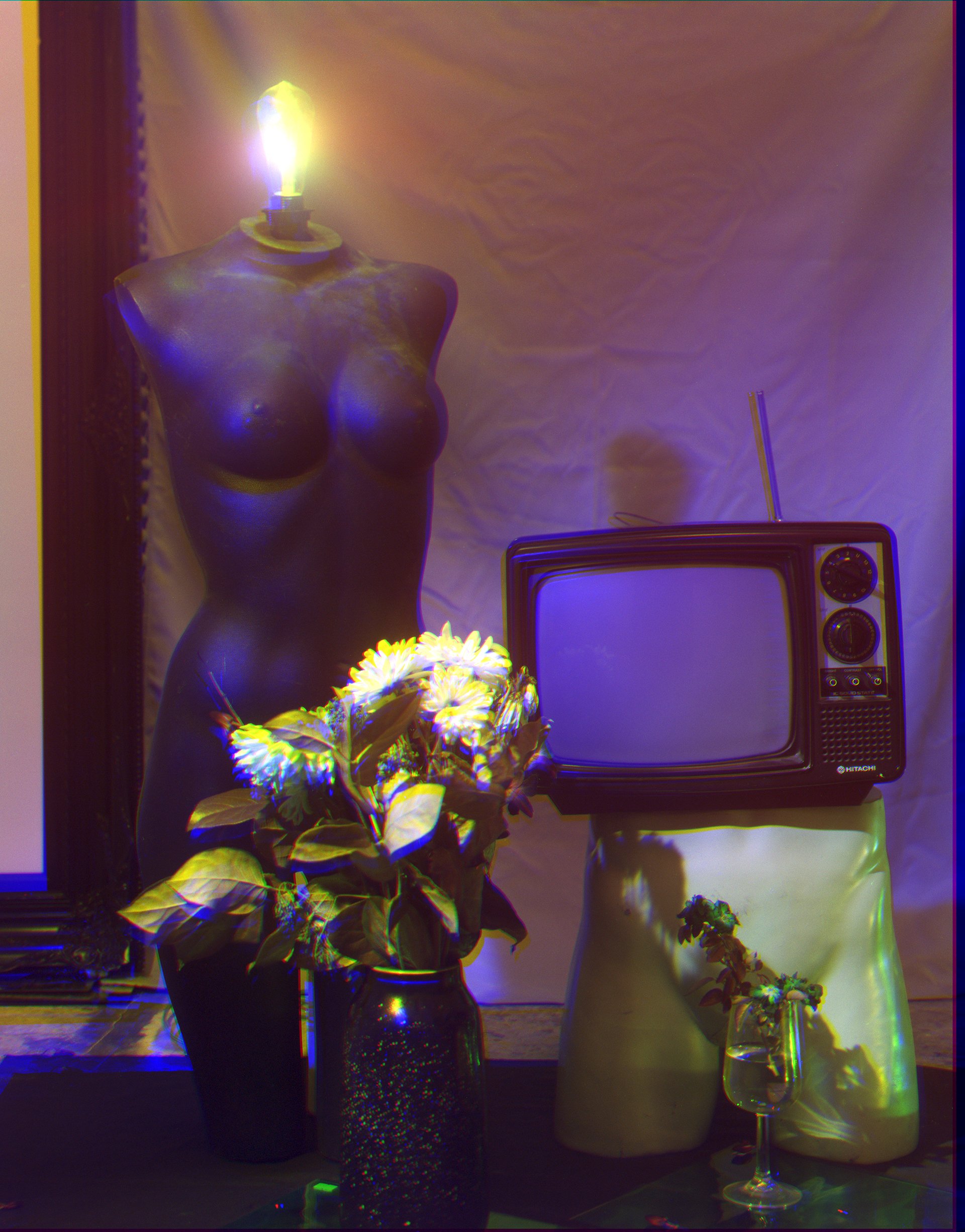 interiorgarden.jpg