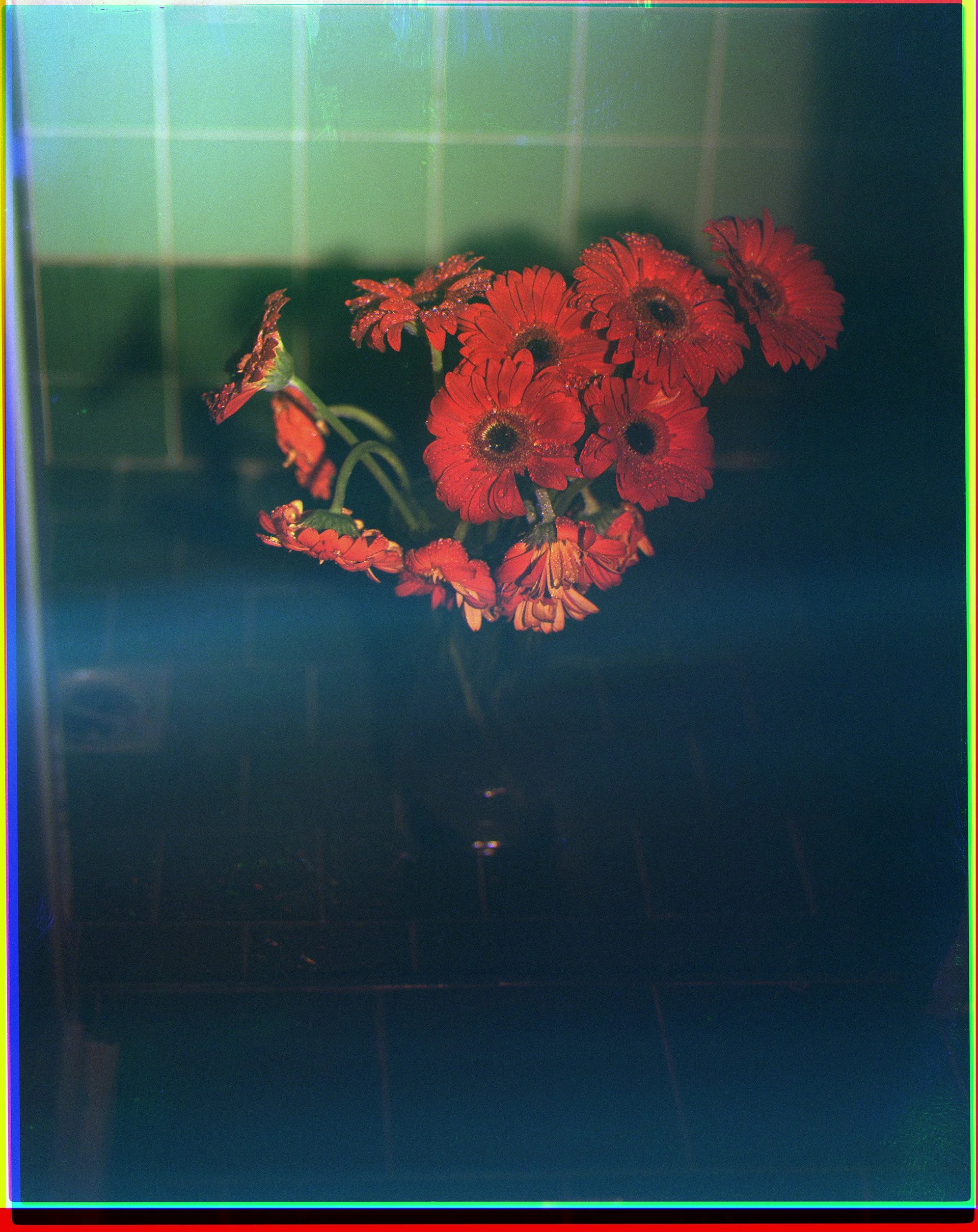 perfectflower_2.jpg