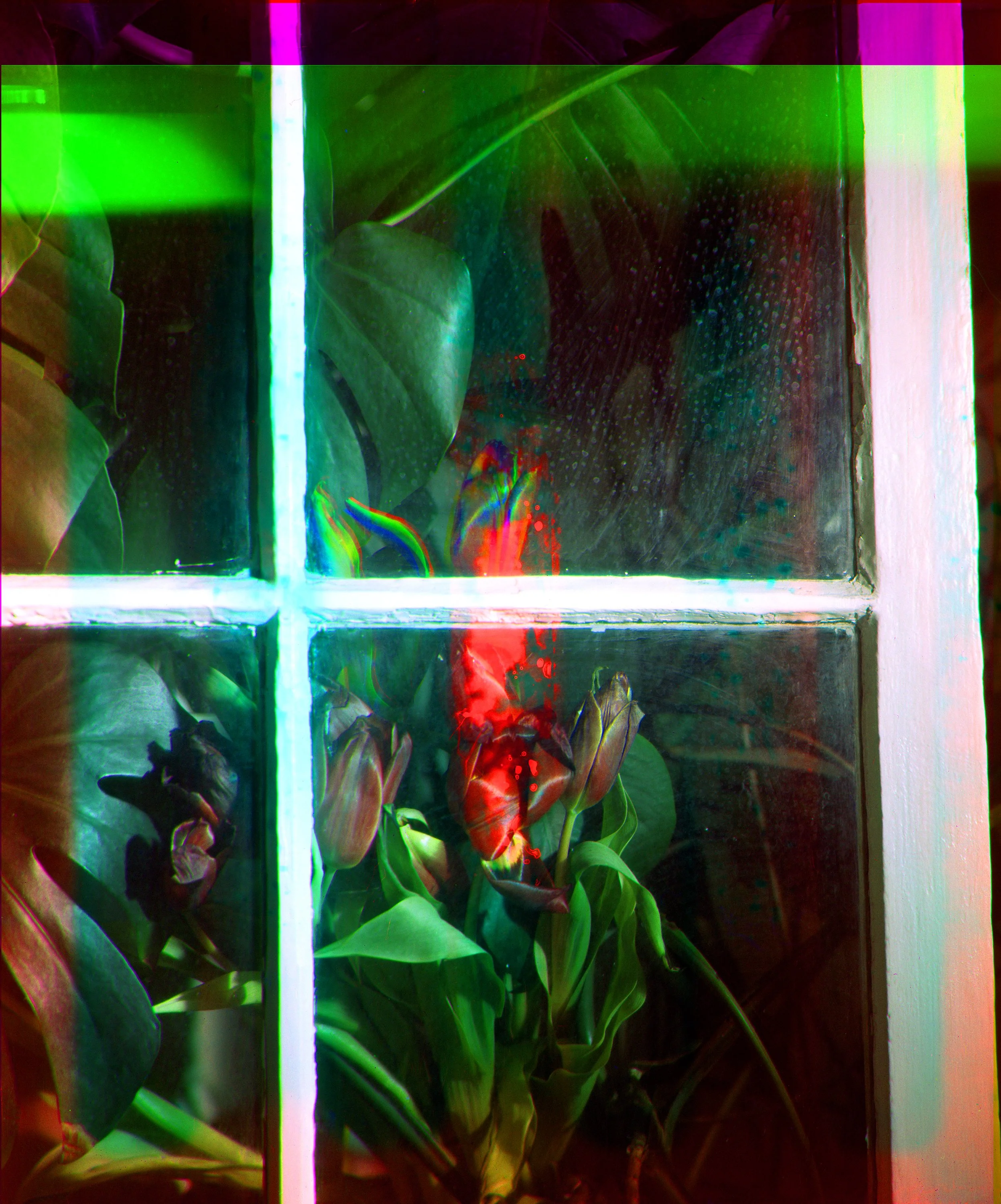 windowofdesire.jpg