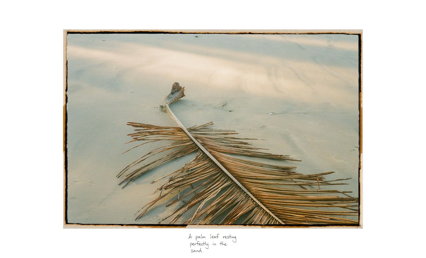 Artboard 8.jpg