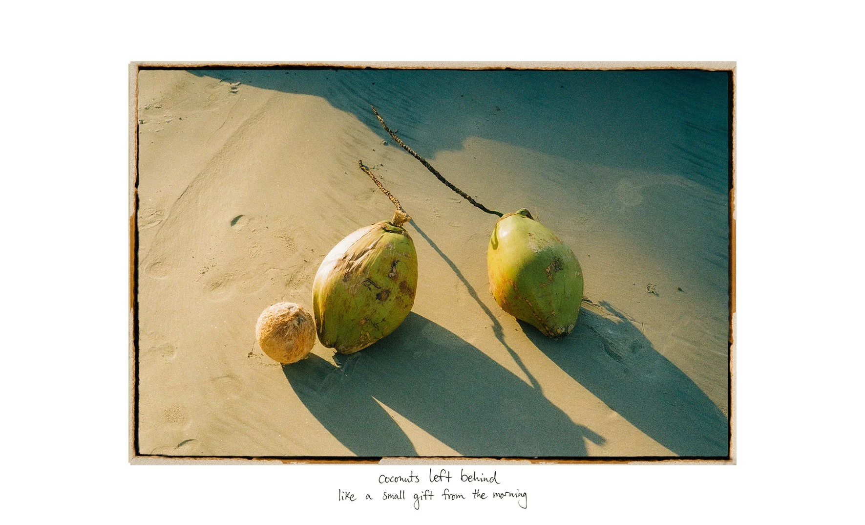 Artboard 9.jpg
