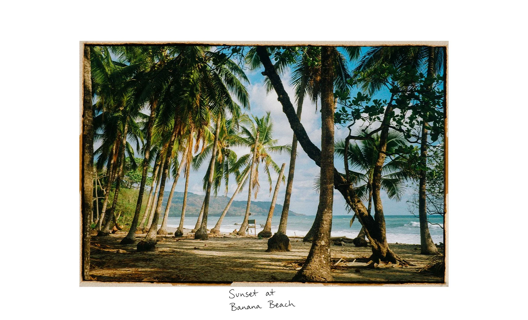 Artboard 5.jpg