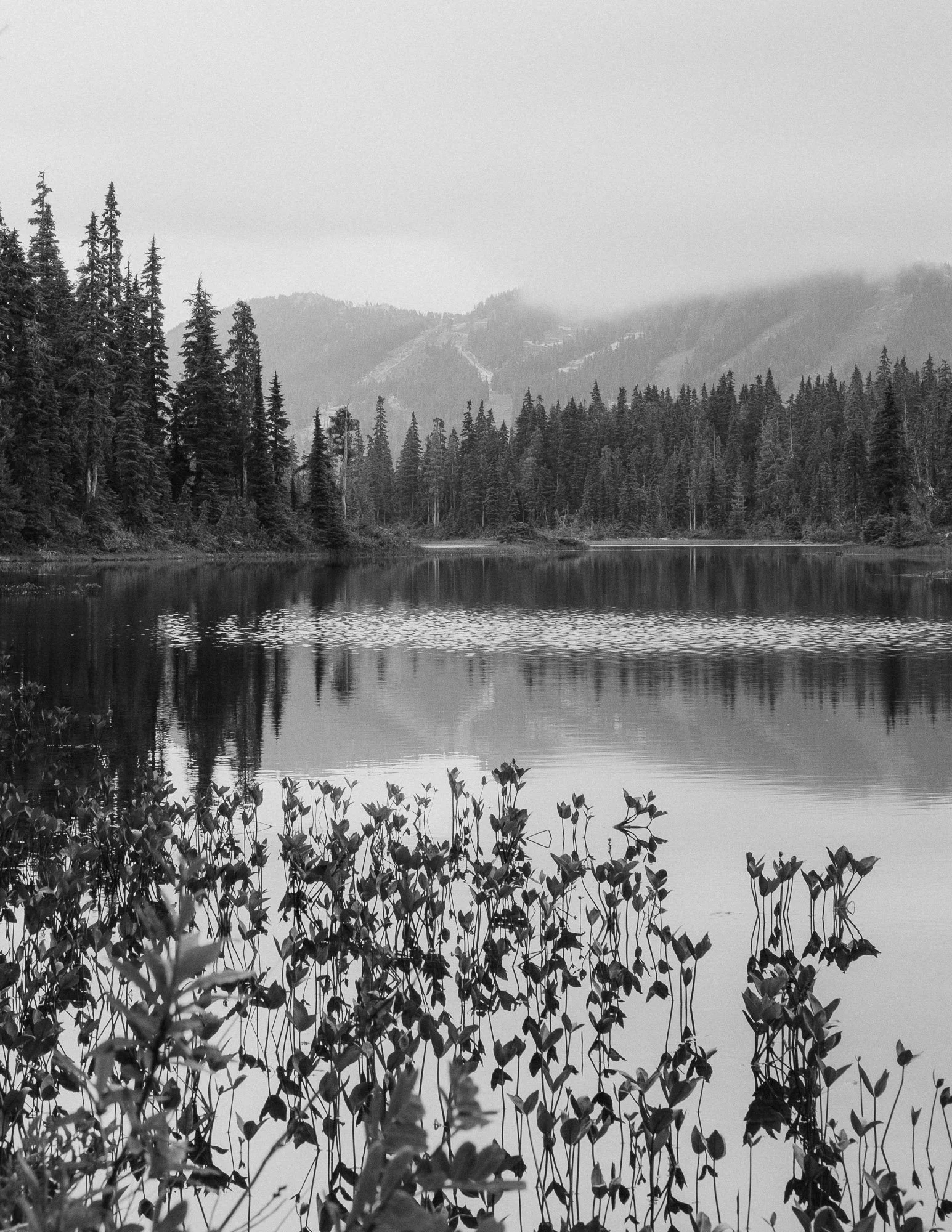 DSCF4859.jpg