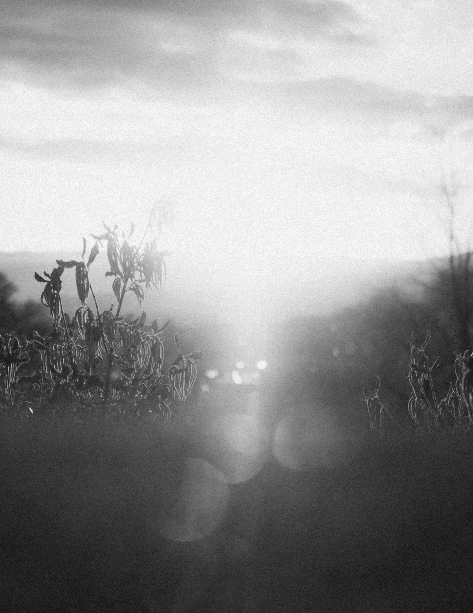 Brandon Hill, Bristol