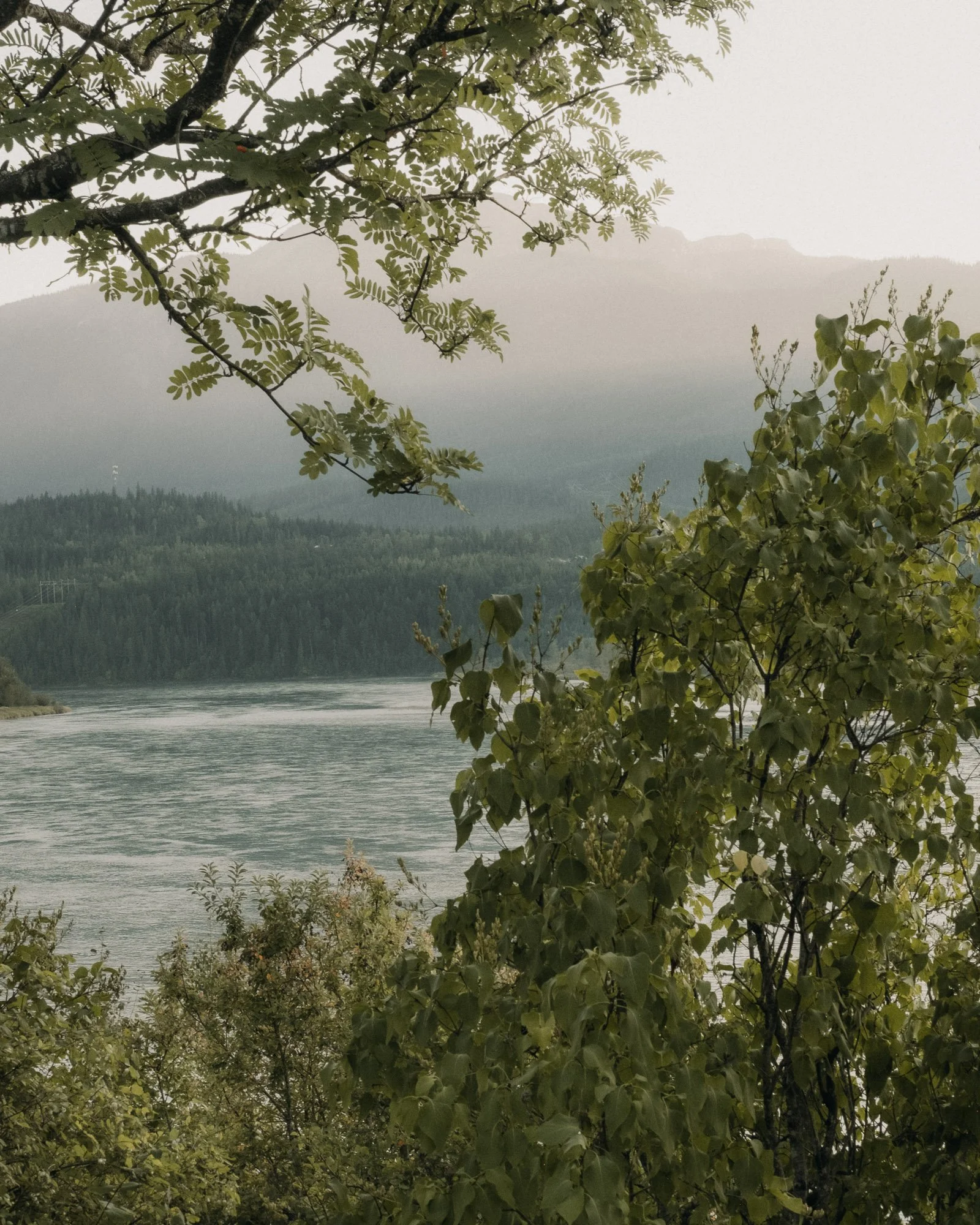 revy-evening-11.jpg