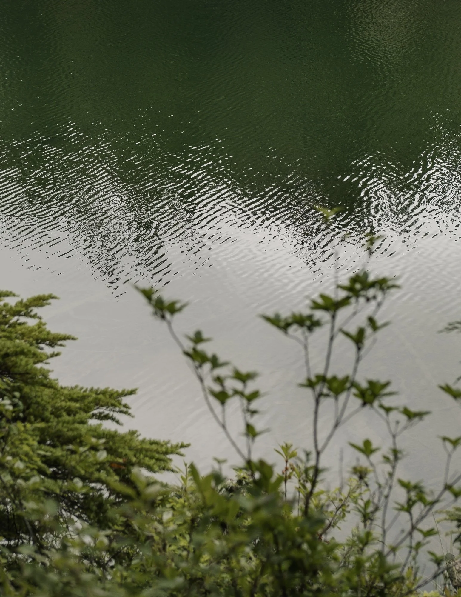 DSCF4833.jpg